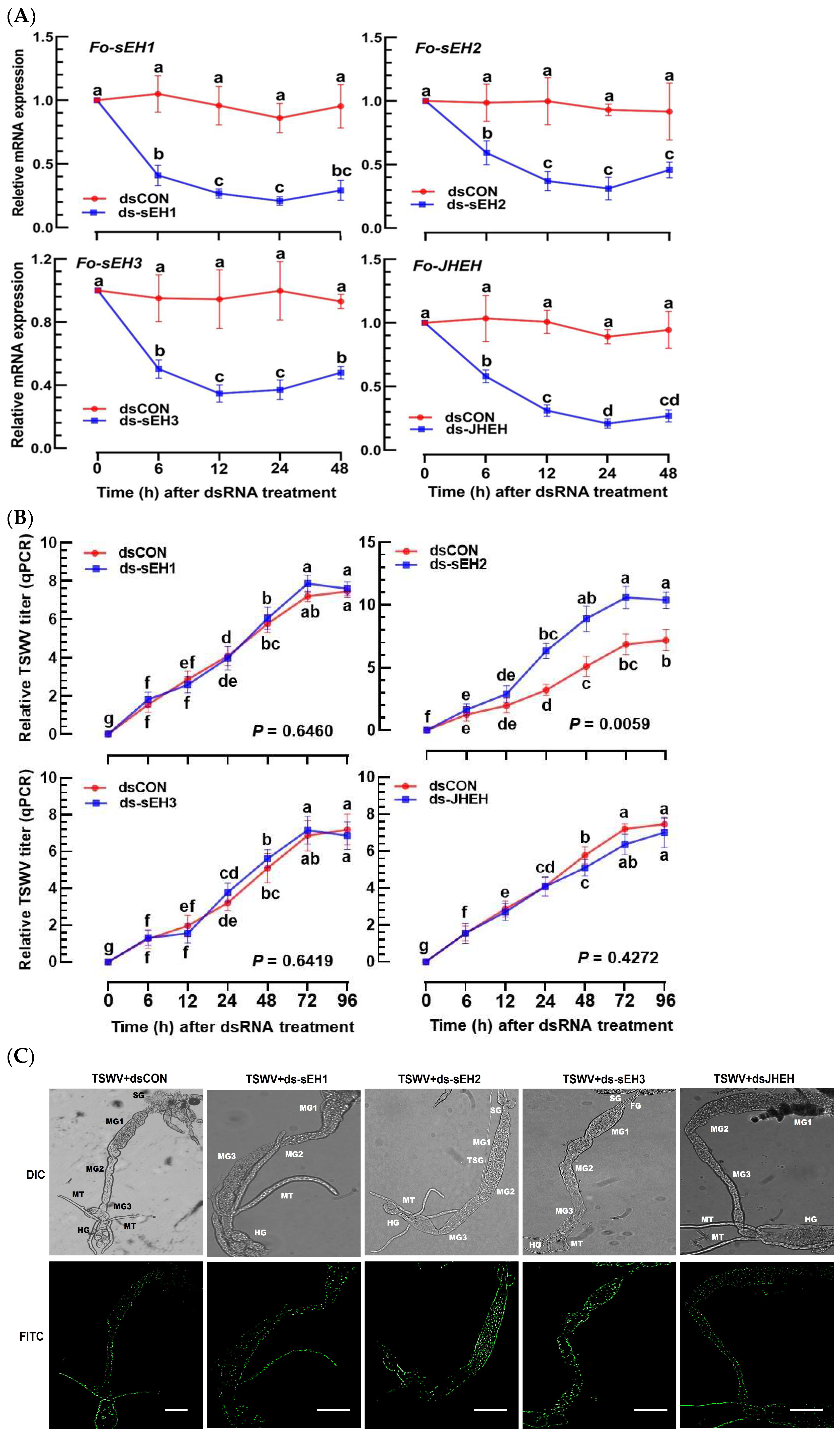 Cells 13 01377 g007a