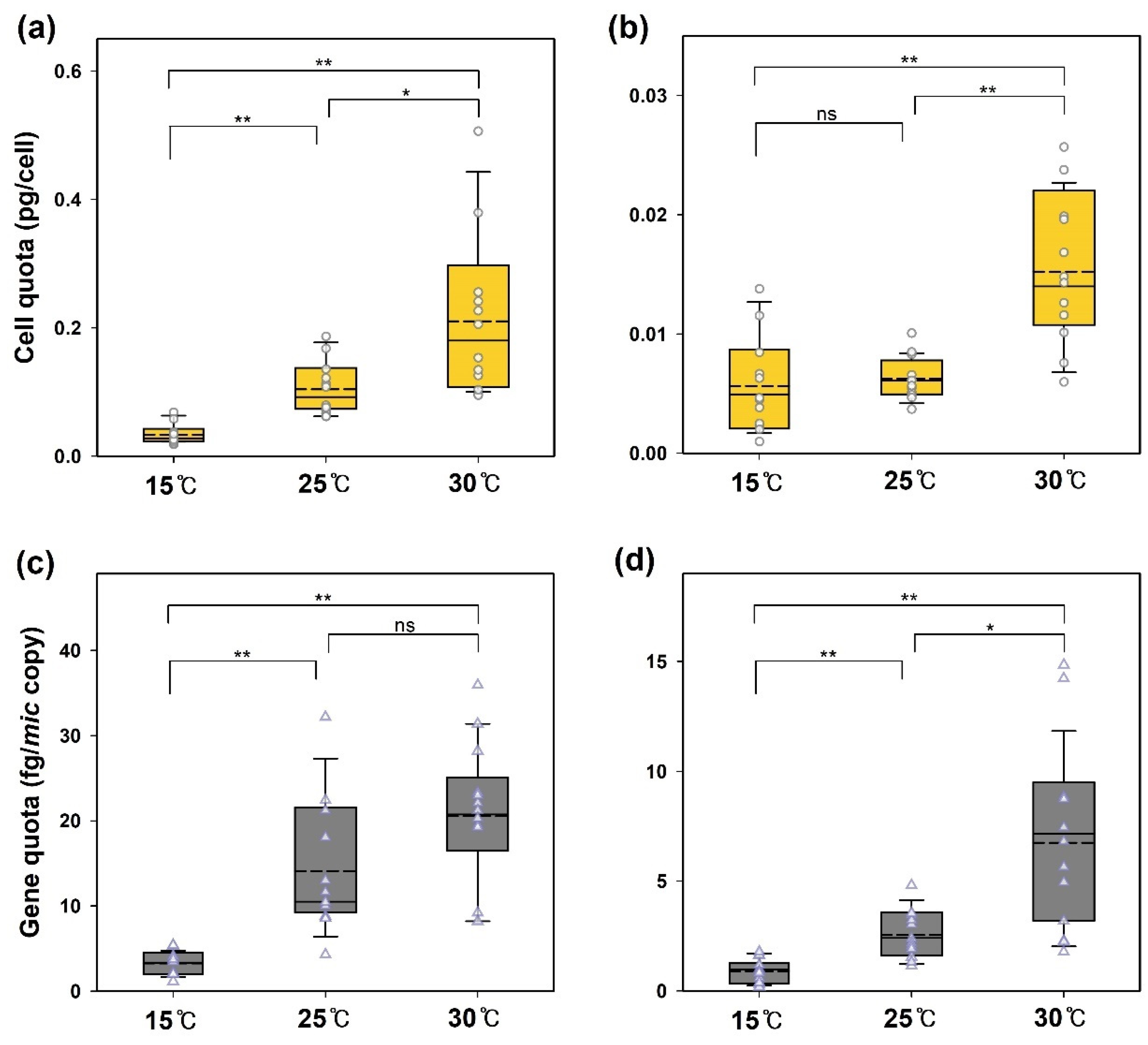 Cells 13 01386 g002 Cells 13 01386 g002