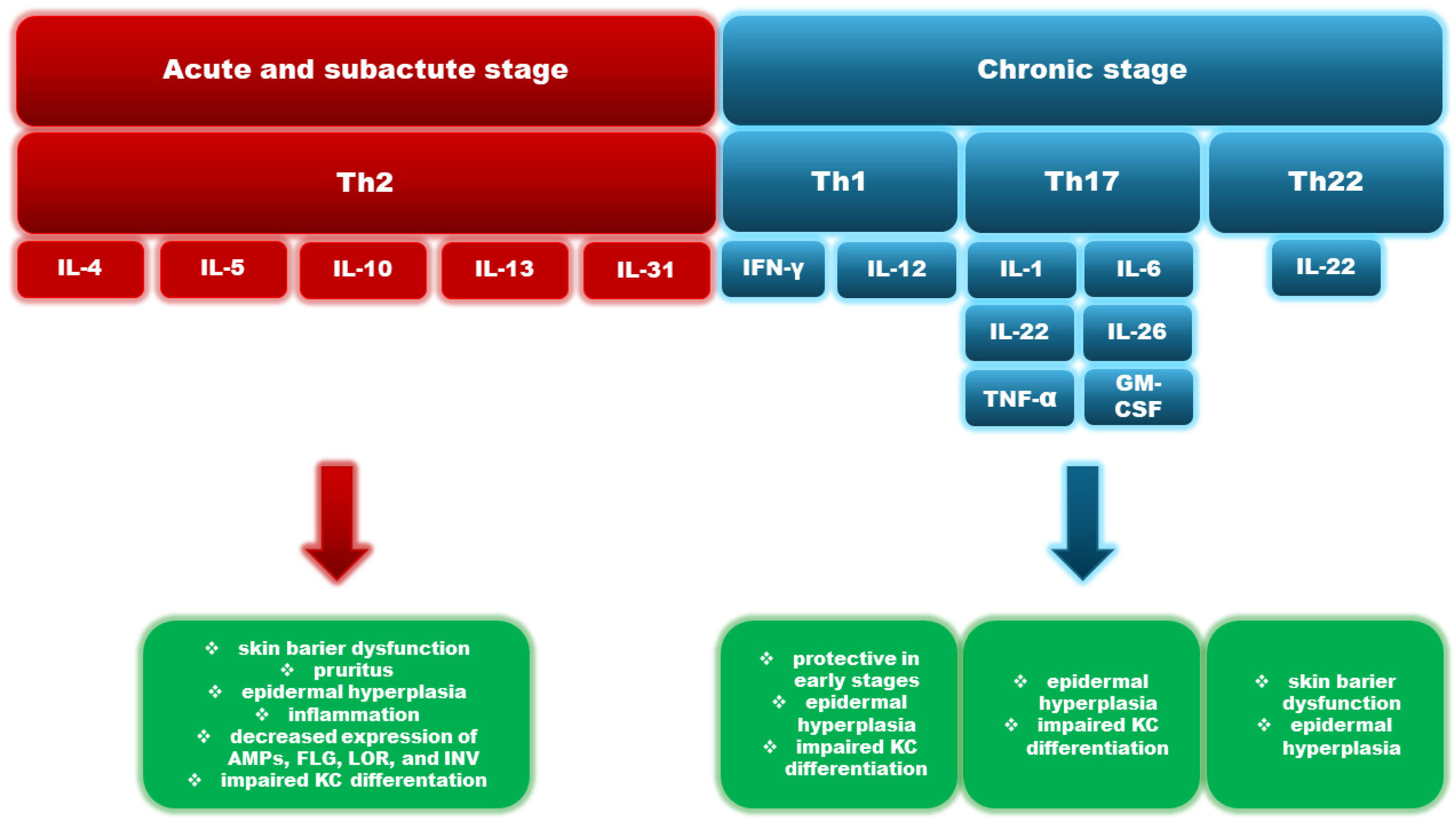 Cells 13 01398 g001 Cells 13 01398 g001