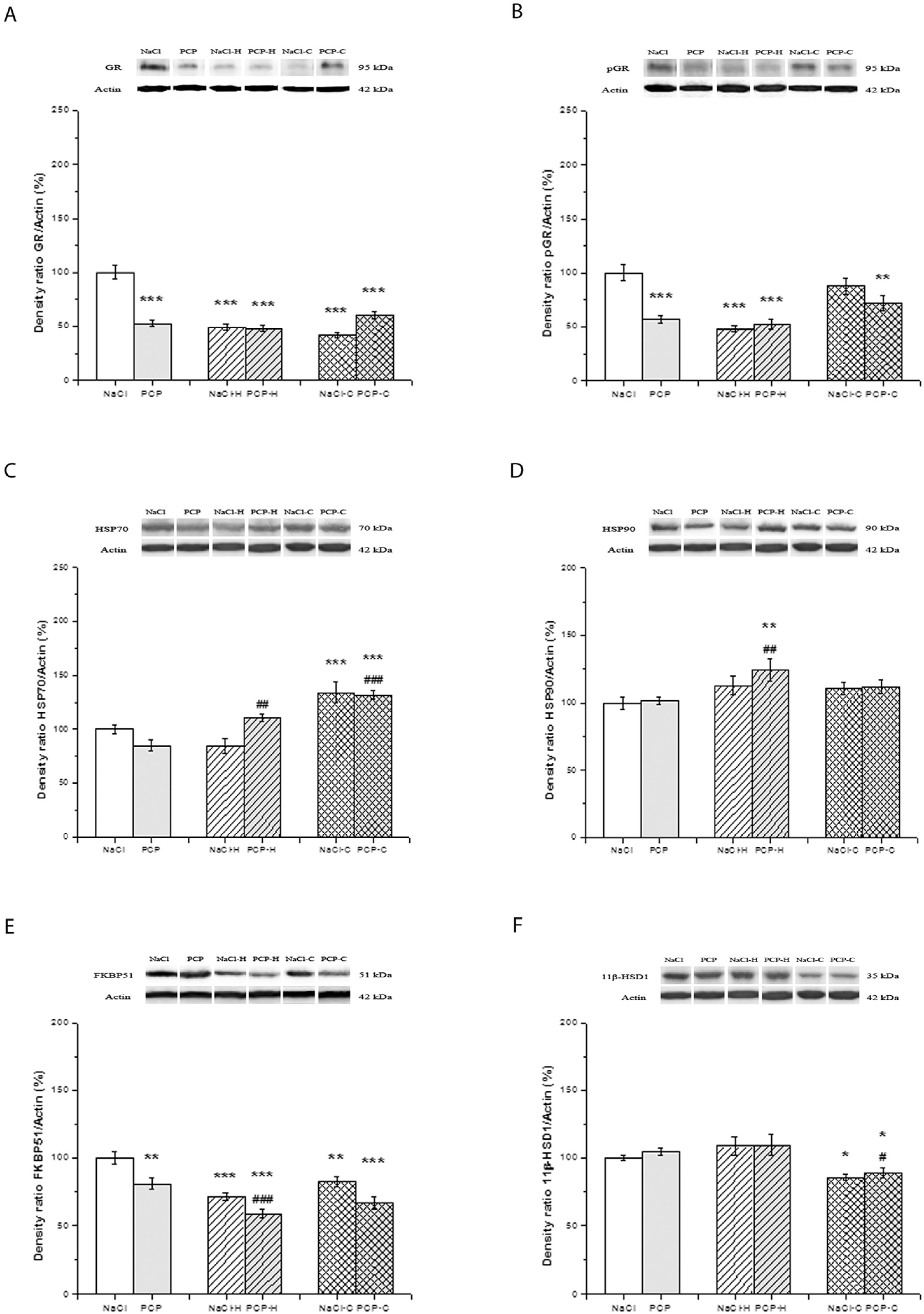 Cells 13 01425 g003