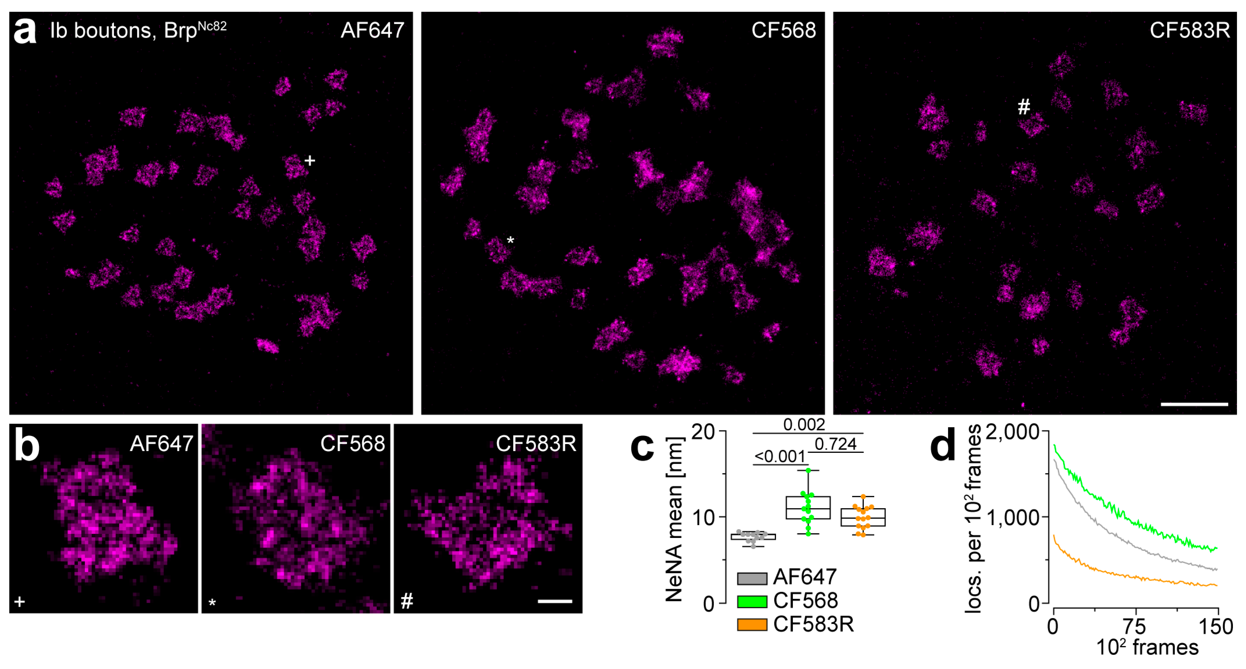 Cells 13 01445 g001 Cells 13 01445 g001