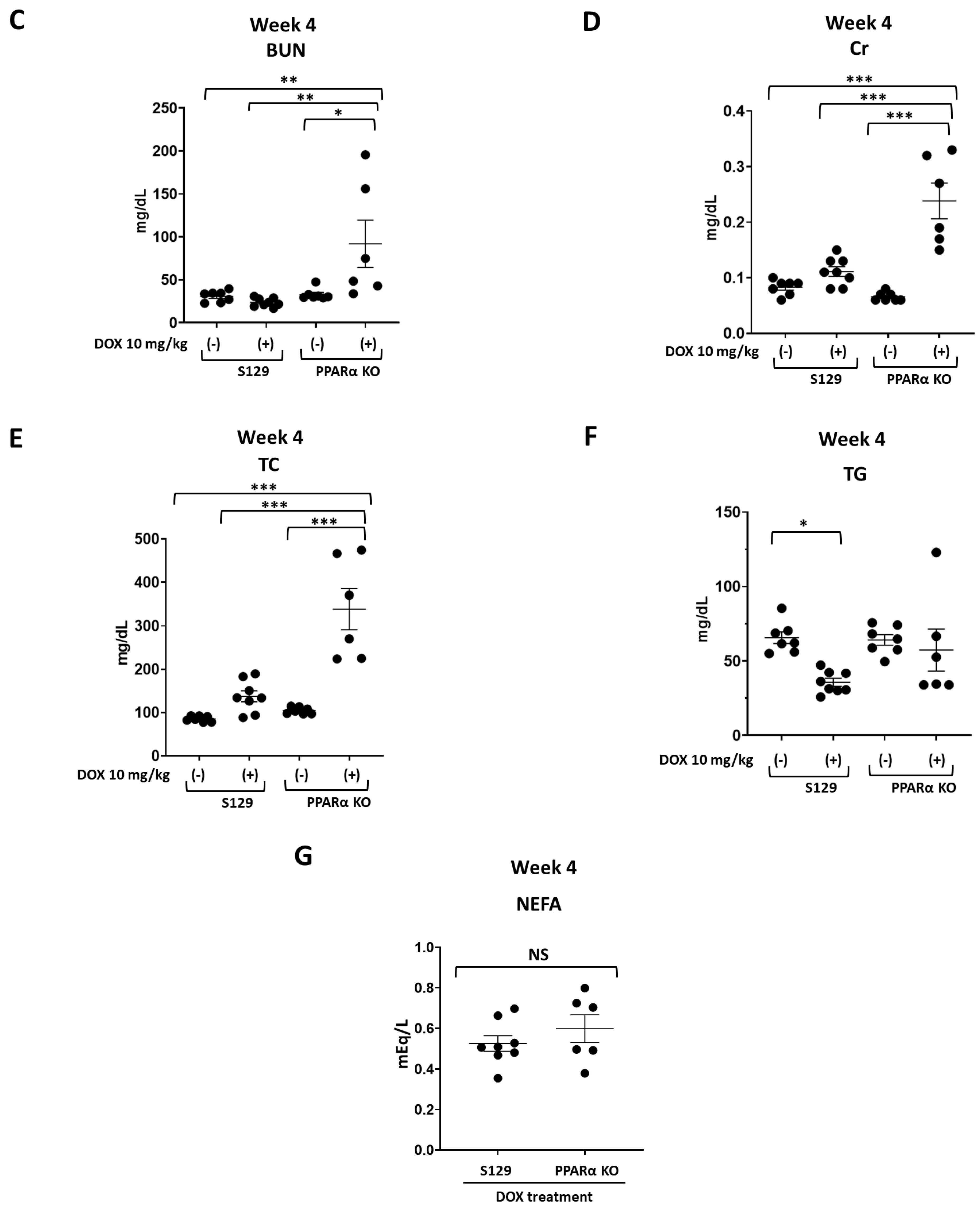 Cells 13 01446 g003b