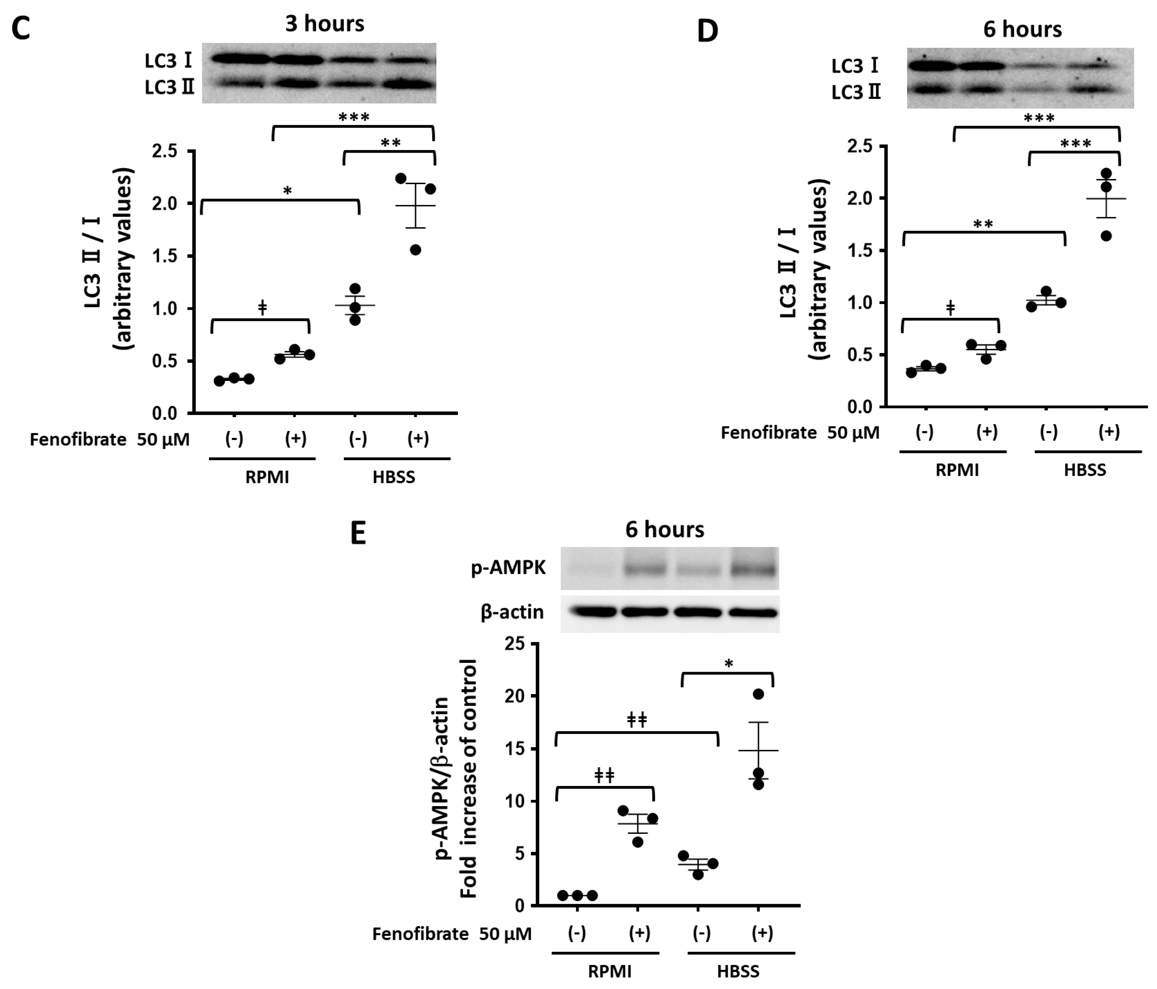 Cells 13 01446 g006b