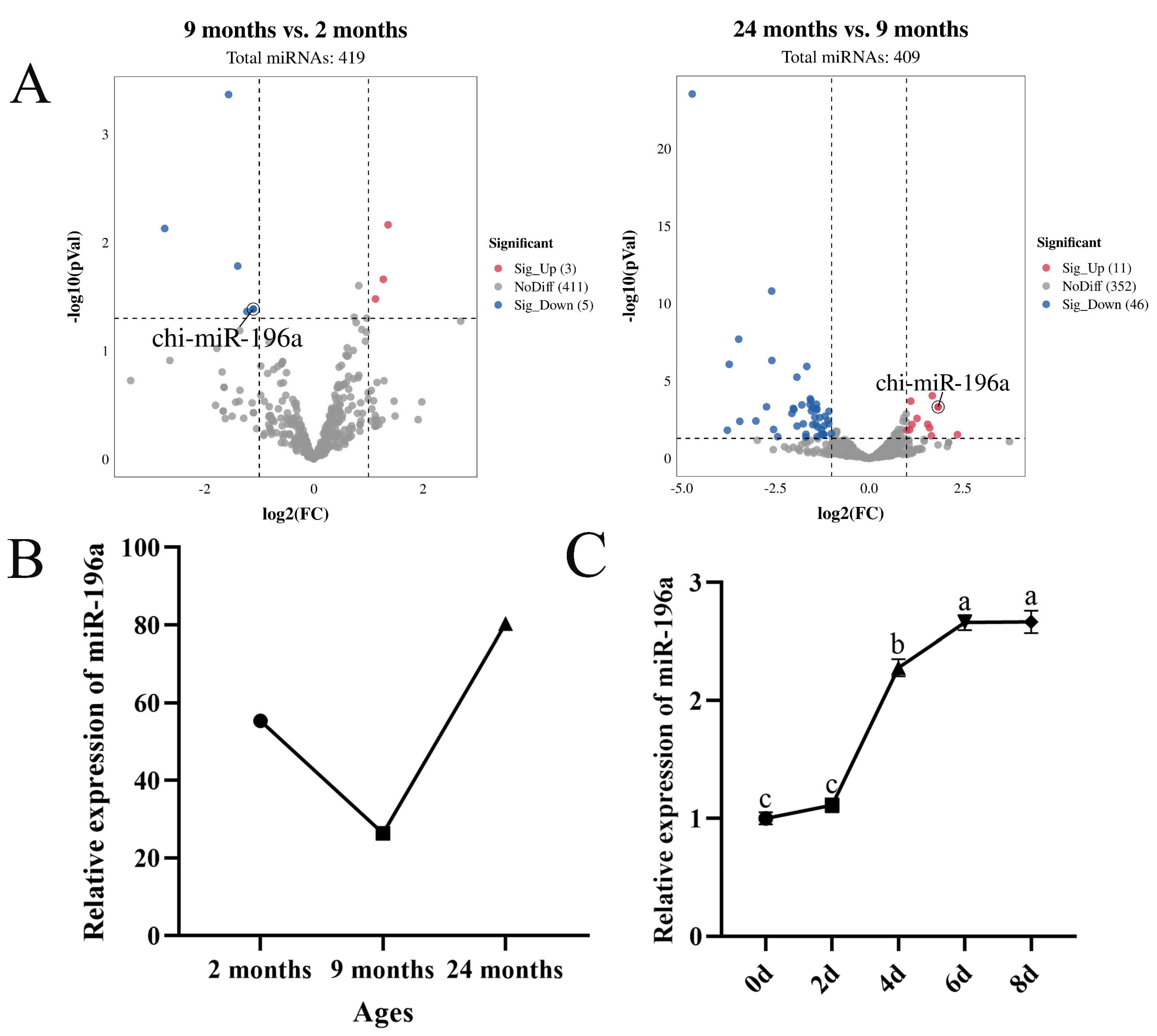 Cells 13 01459 g001 Cells 13 01459 g001