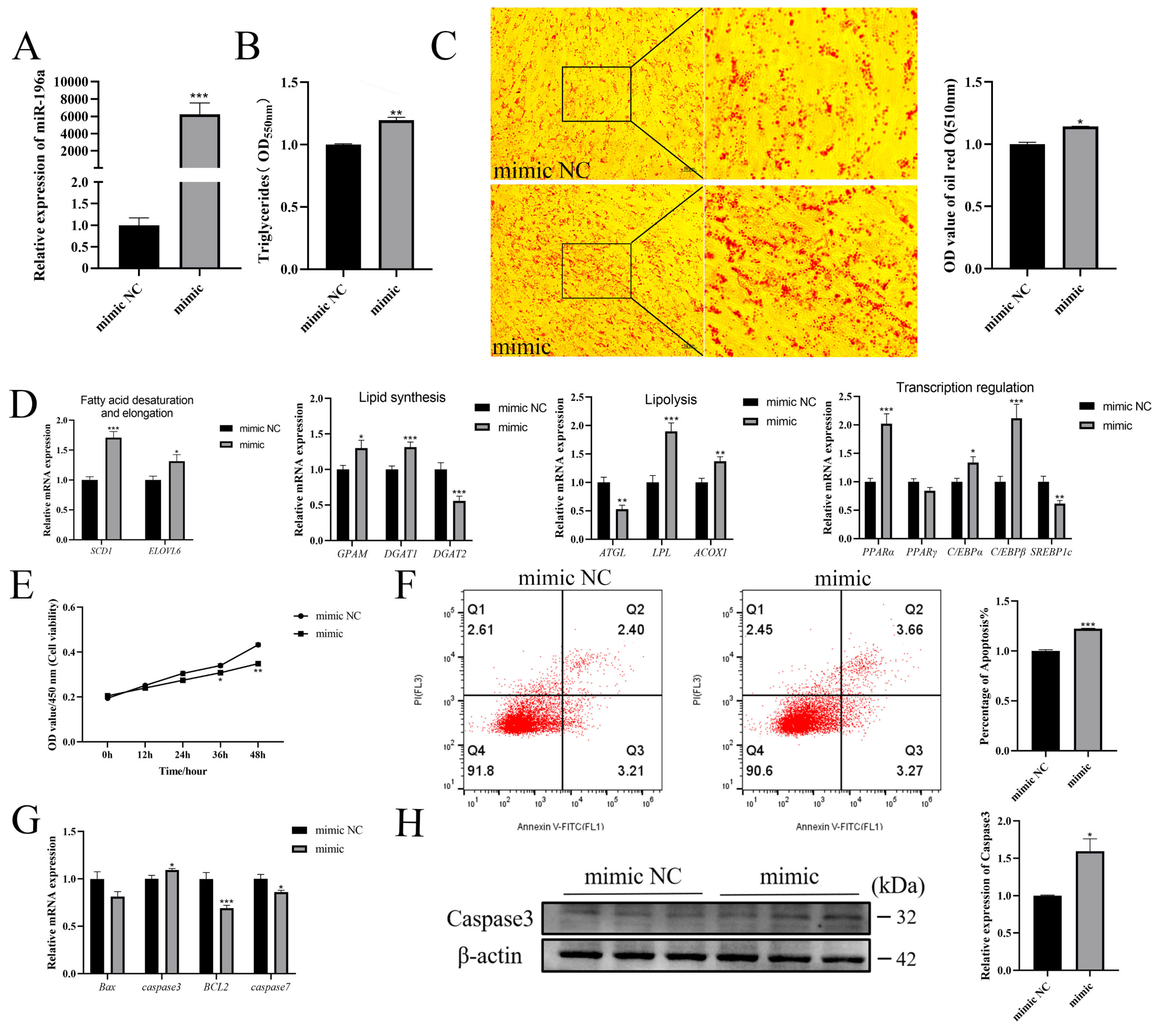 Cells 13 01459 g002 Cells 13 01459 g002
