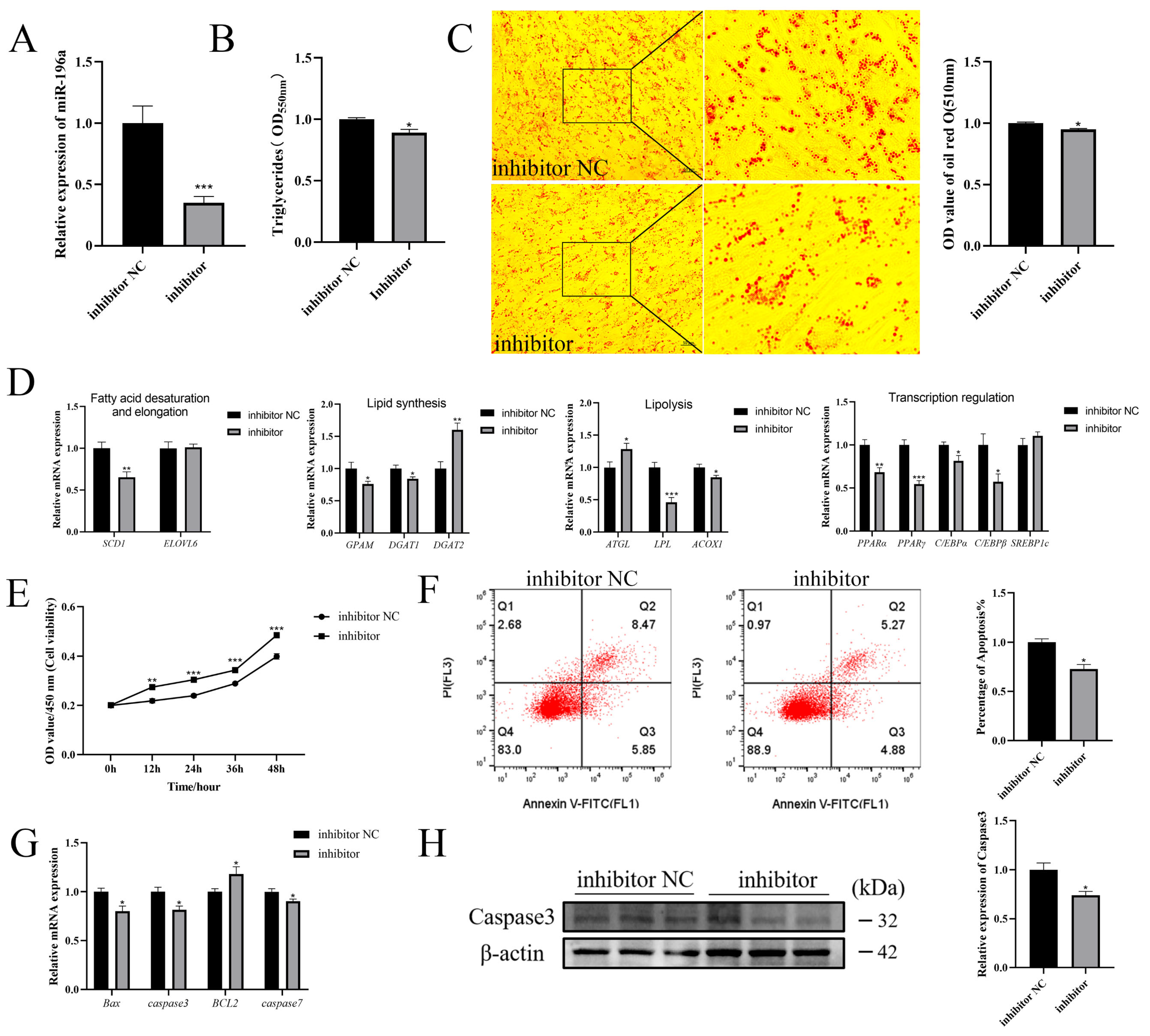 Cells 13 01459 g003 Cells 13 01459 g003