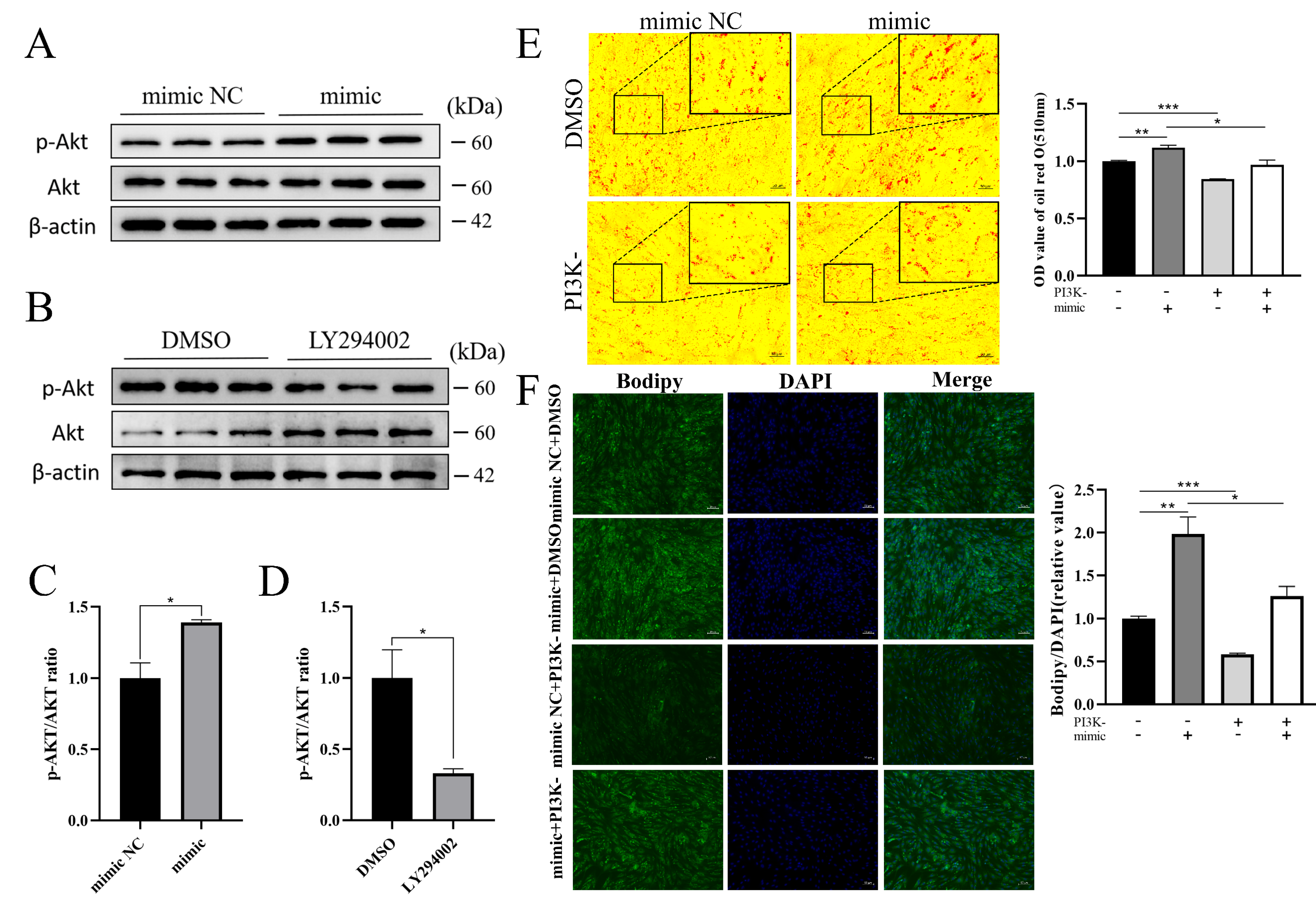 Cells 13 01459 g005 Cells 13 01459 g005