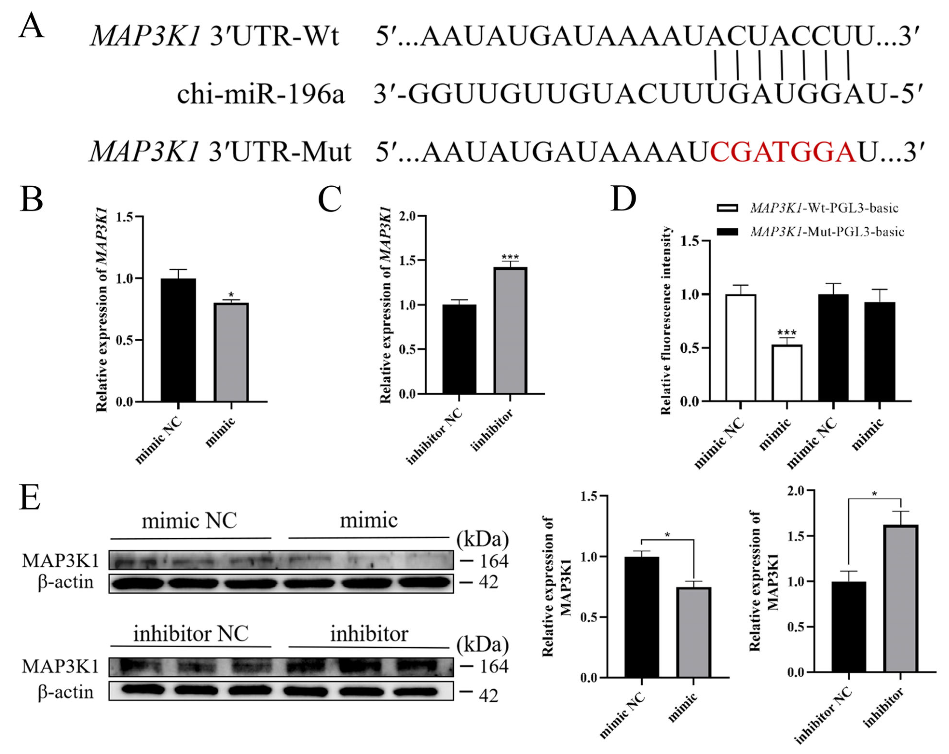 Cells 13 01459 g006 Cells 13 01459 g006