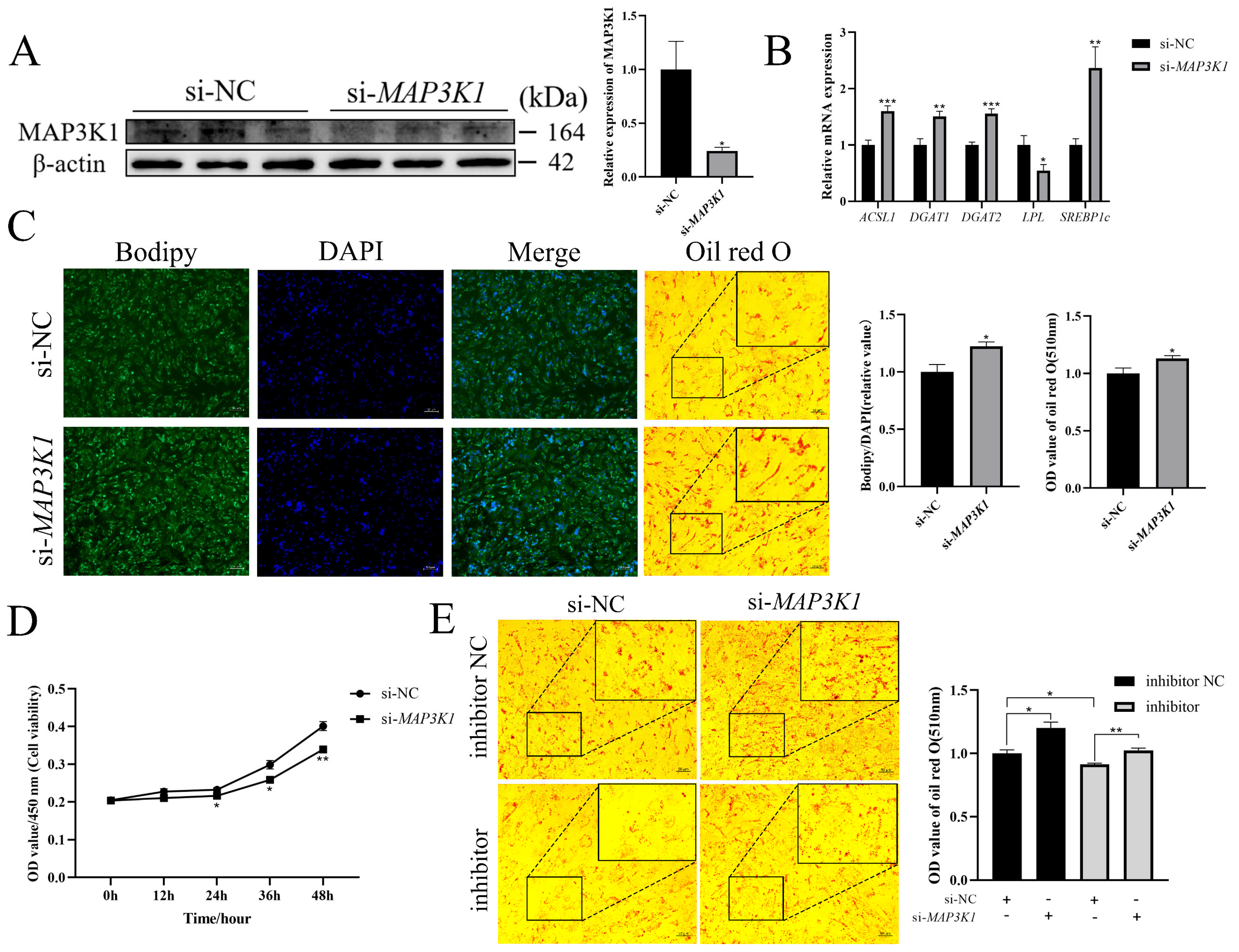 Cells 13 01459 g007 Cells 13 01459 g007