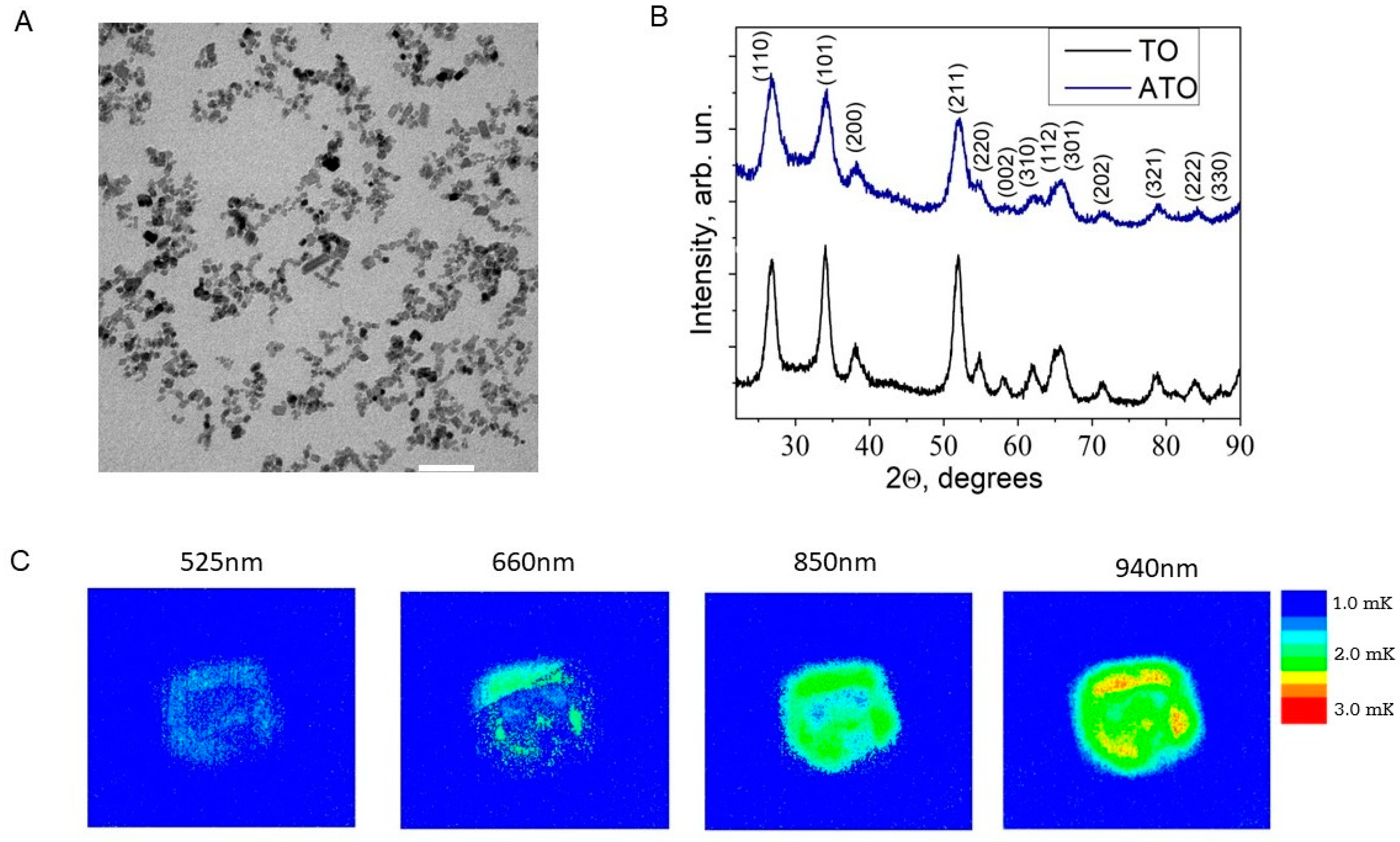 Cells 13 01468 g001 Cells 13 01468 g001