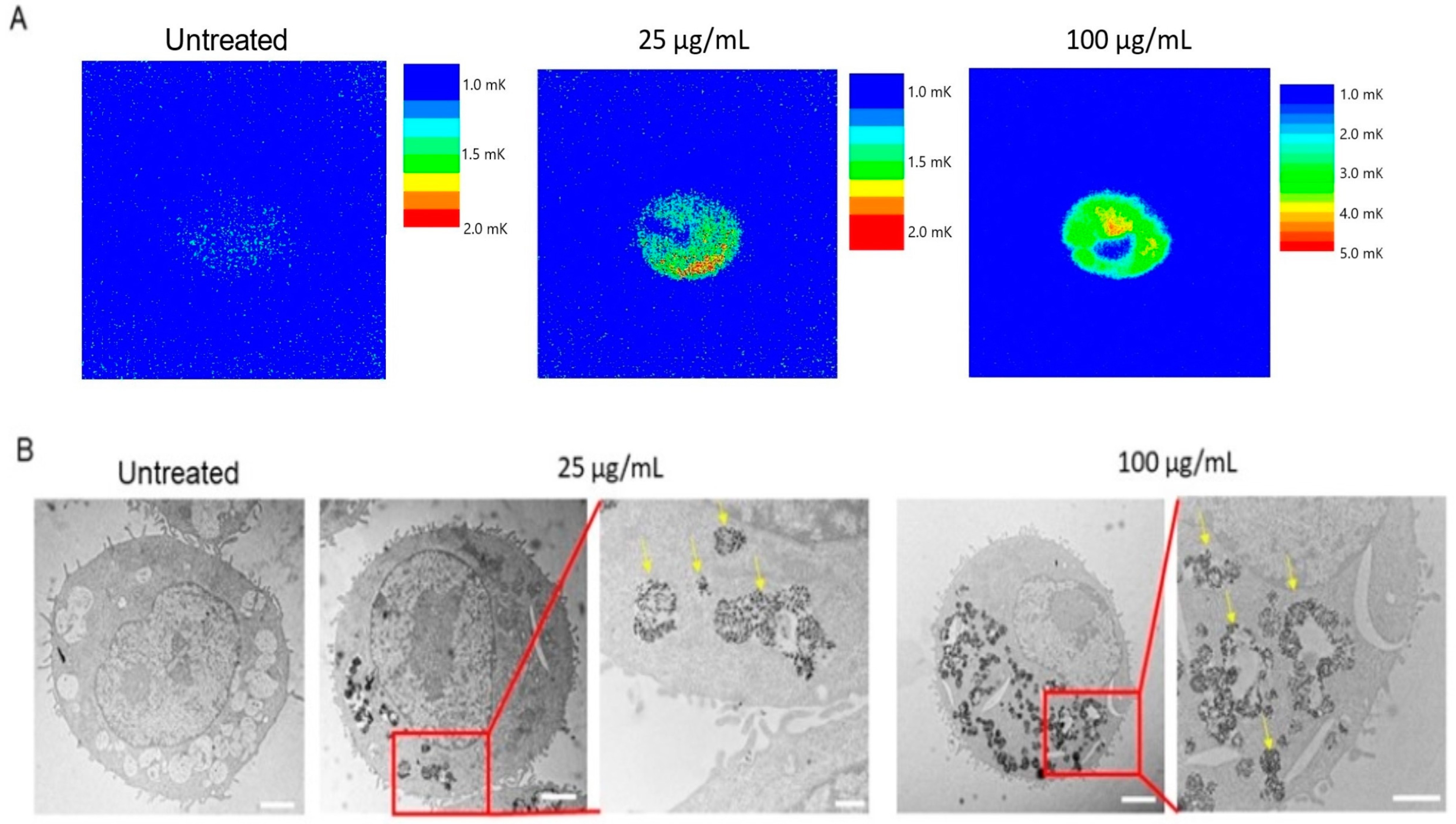 Cells 13 01468 g003 Cells 13 01468 g003