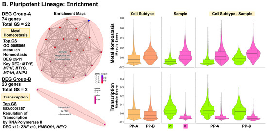 Cells 13 01479 g005b