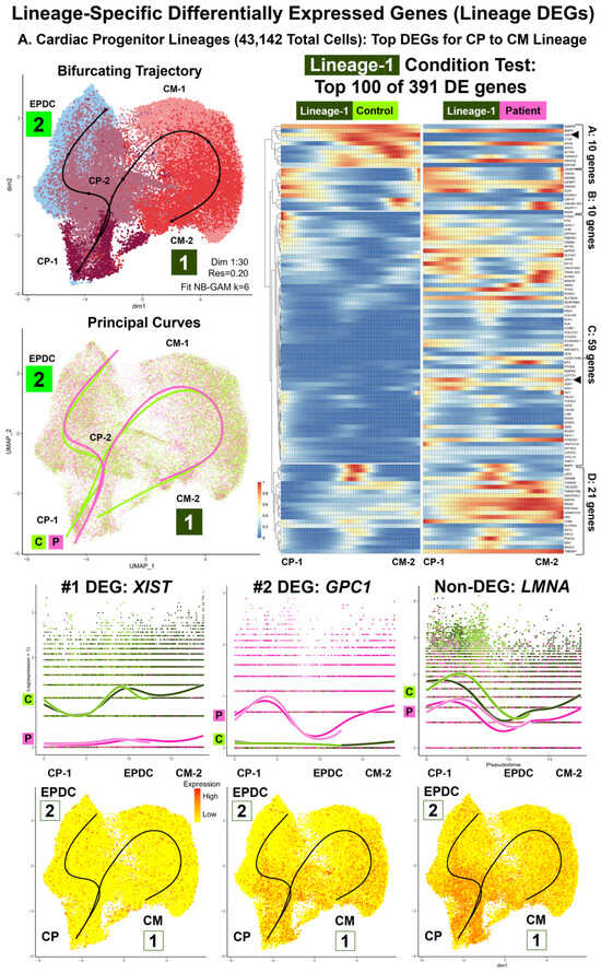 Cells 13 01479 g006a