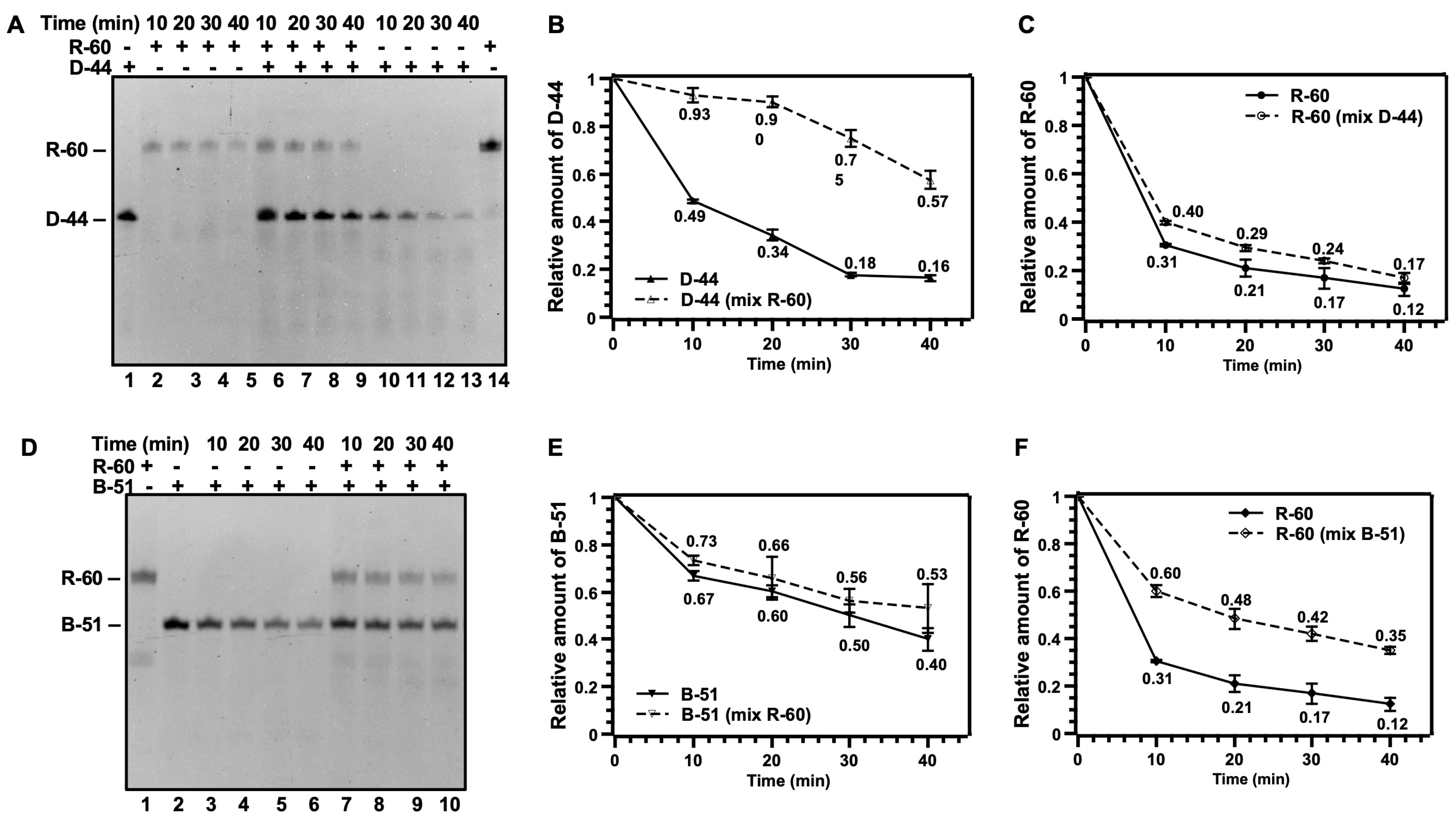 Cells 13 01525 g002 Cells 13 01525 g002