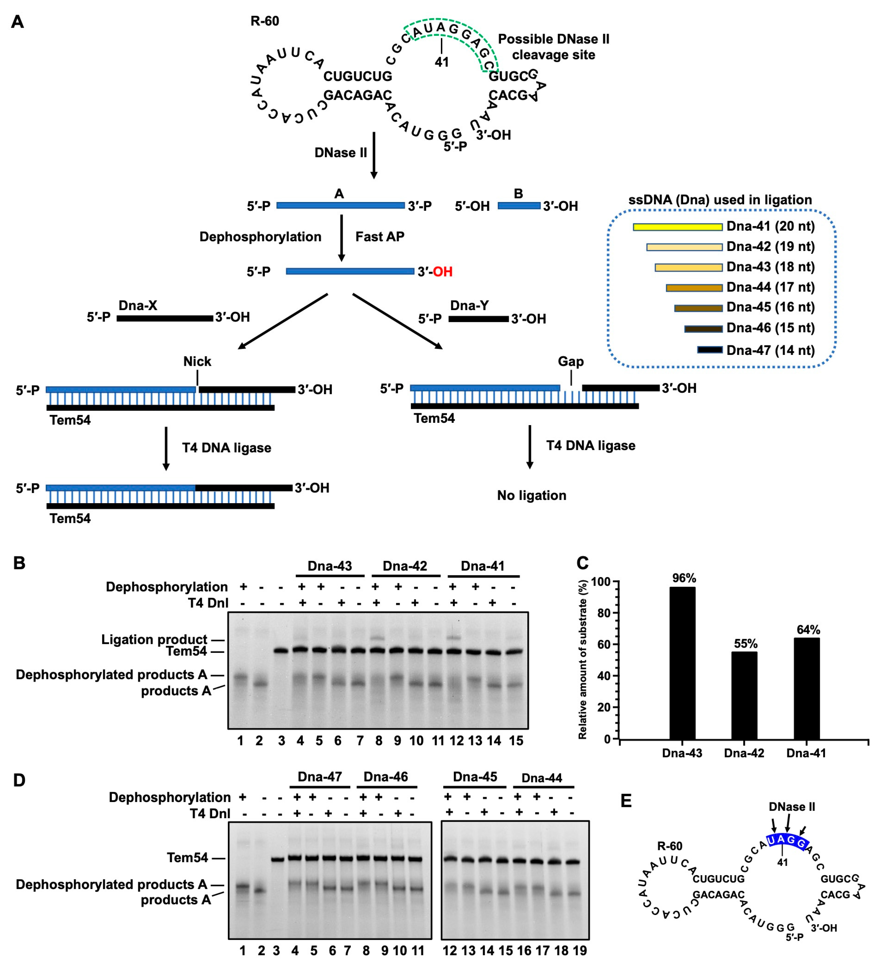 Cells 13 01525 g003 Cells 13 01525 g003