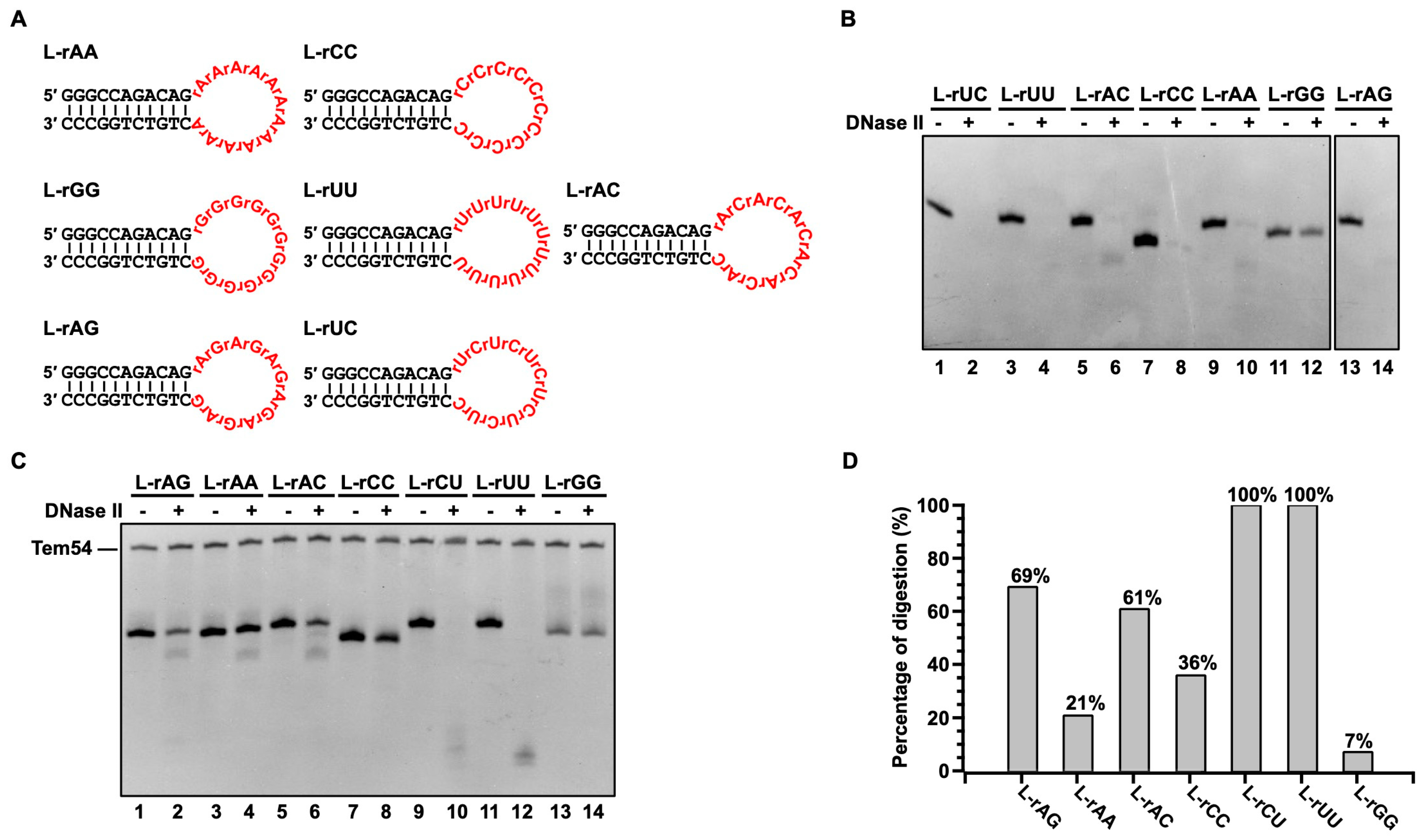 Cells 13 01525 g004 Cells 13 01525 g004