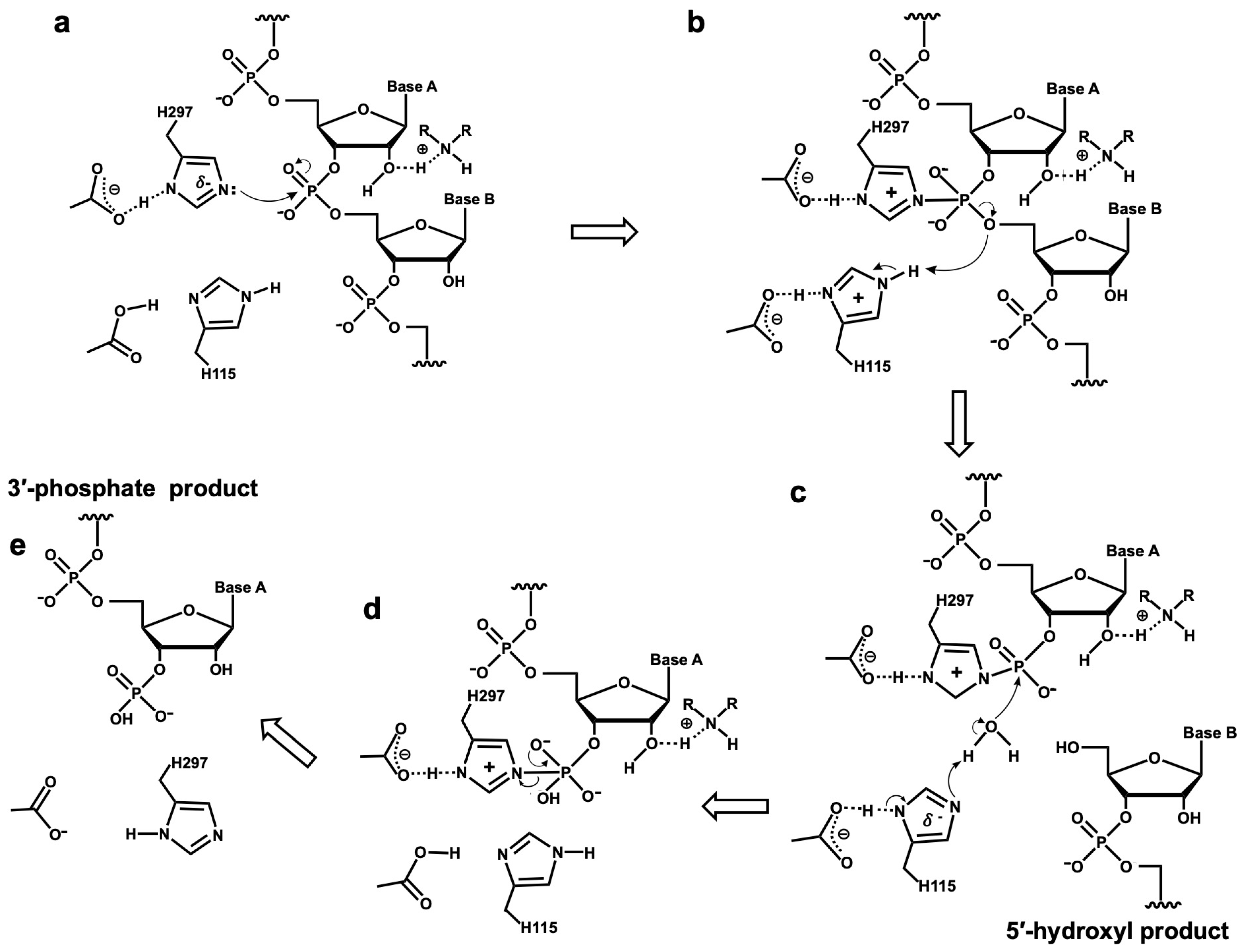 Cells 13 01525 g005 Cells 13 01525 g005