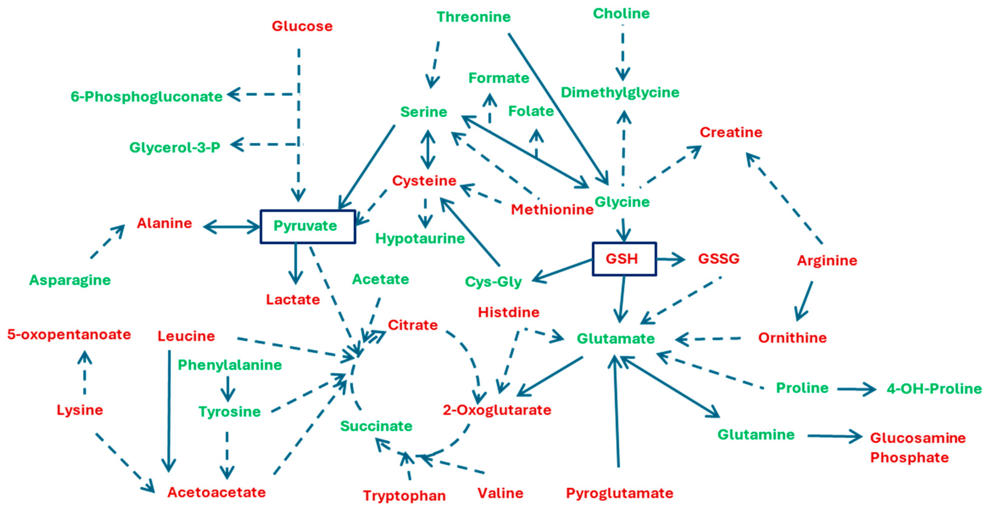 Cells 13 01536 g007 Cells 13 01536 g007