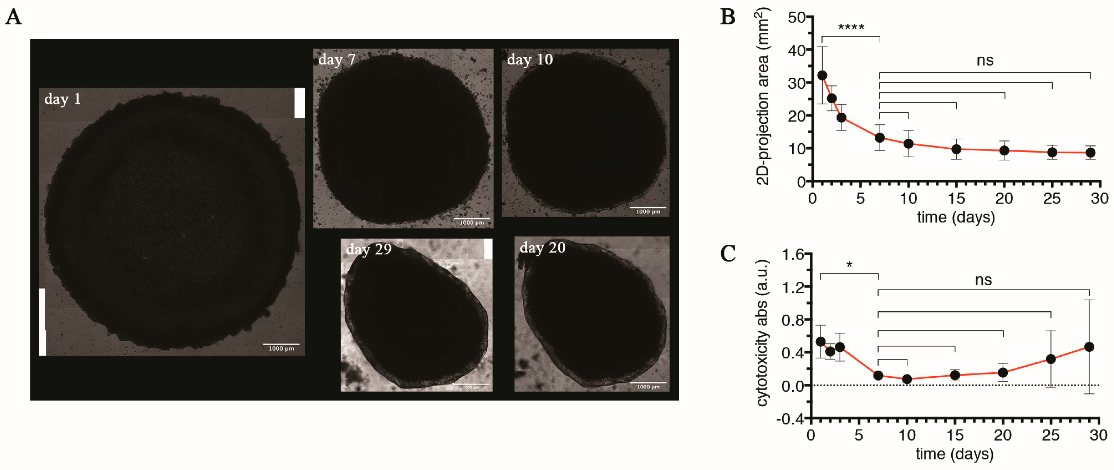 Cells 13 01542 g001 Cells 13 01542 g001
