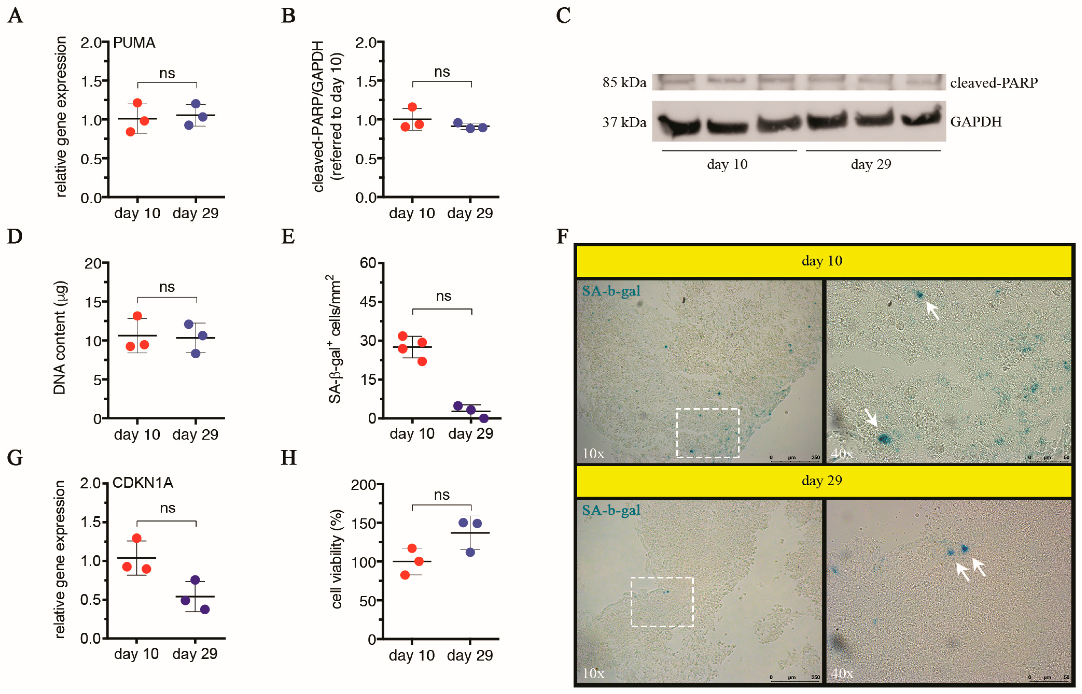 Cells 13 01542 g003 Cells 13 01542 g003