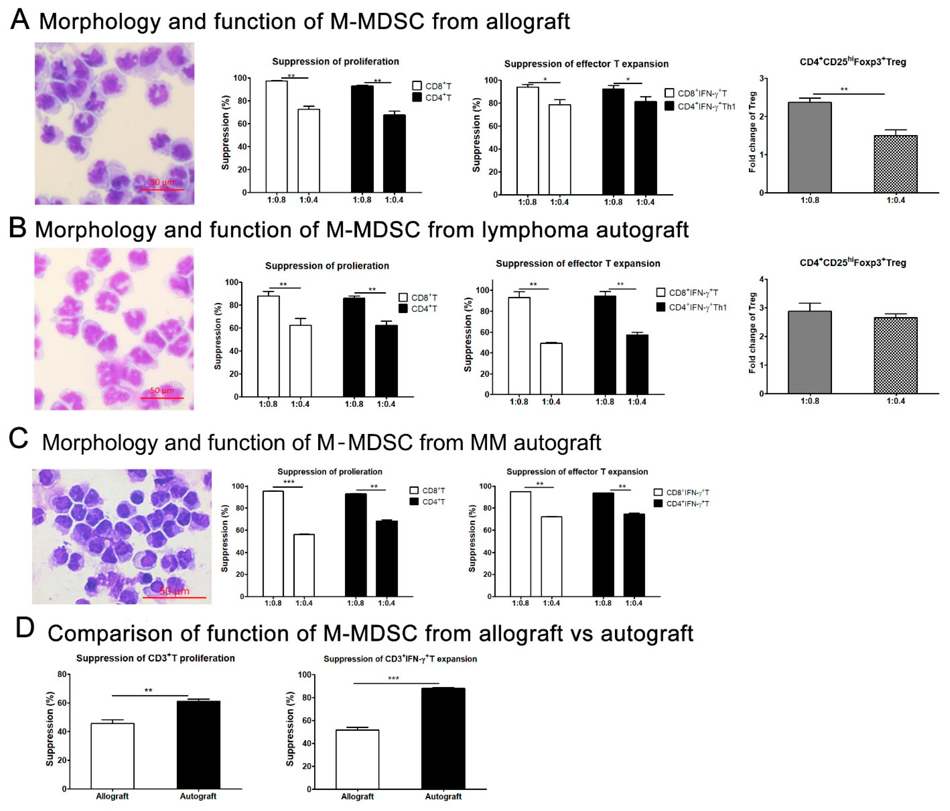 Cells 13 01545 g004
