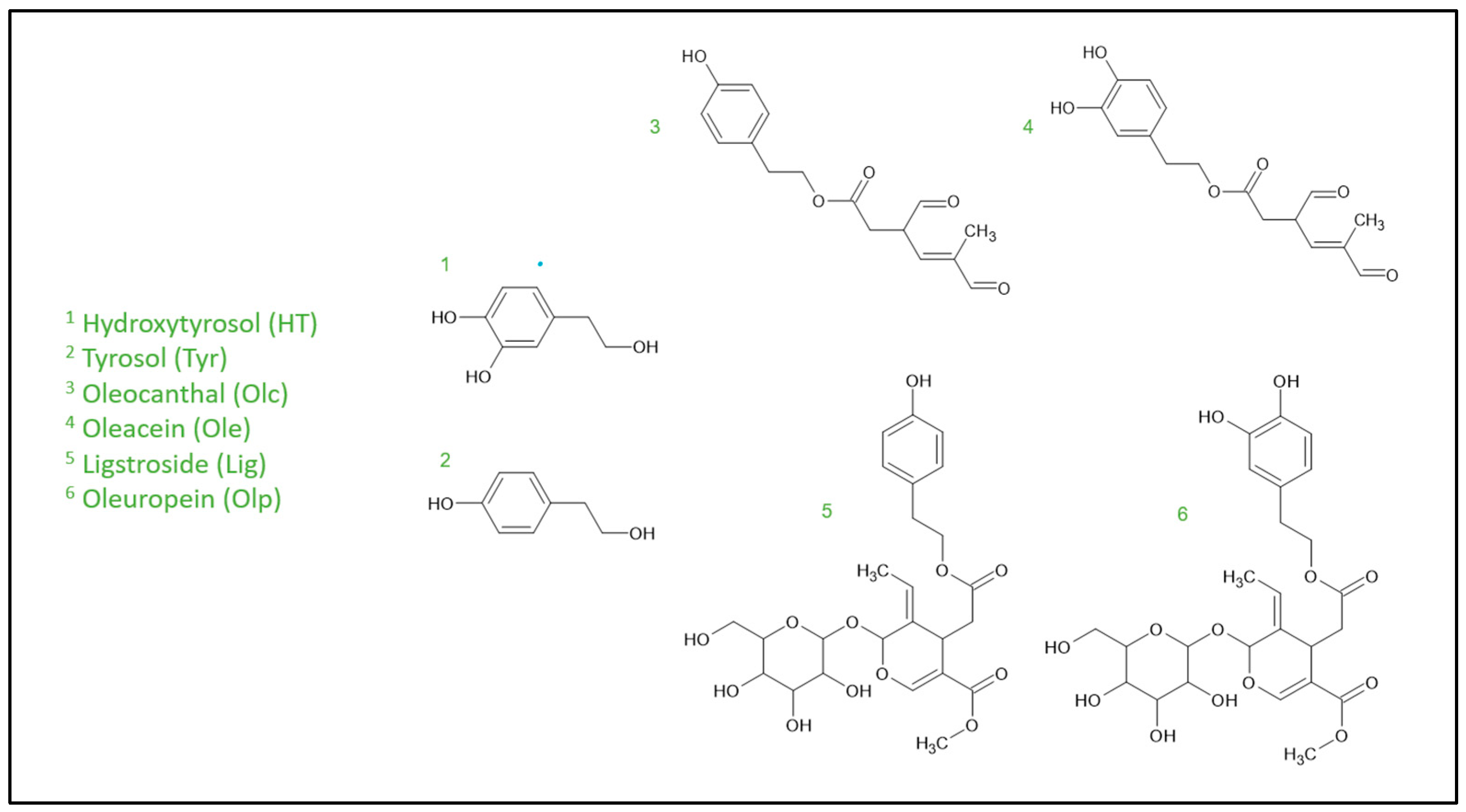 Cells 13 01555 g001 Cells 13 01555 g001