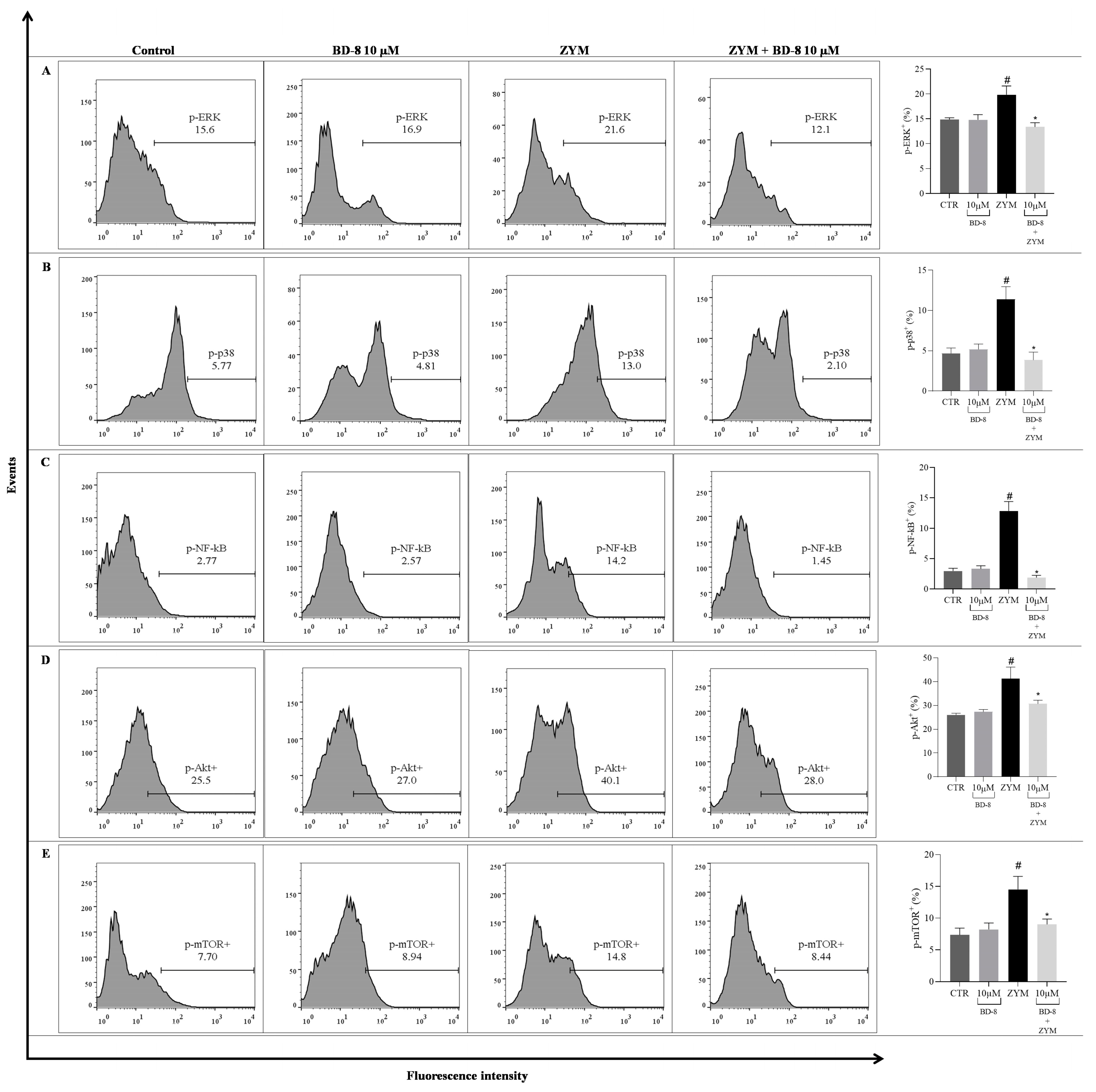 Cells 13 01568 g008a