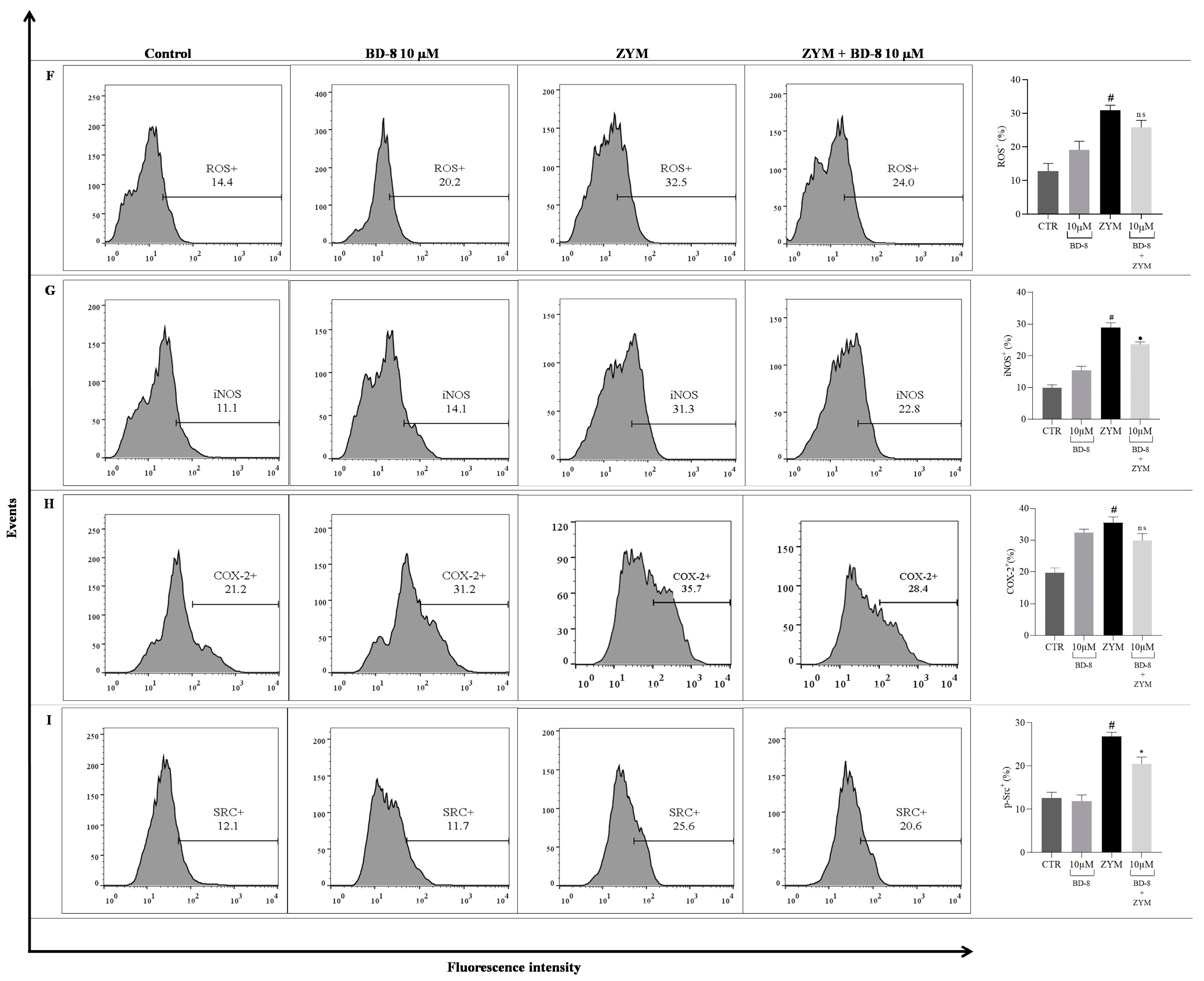 Cells 13 01568 g008b