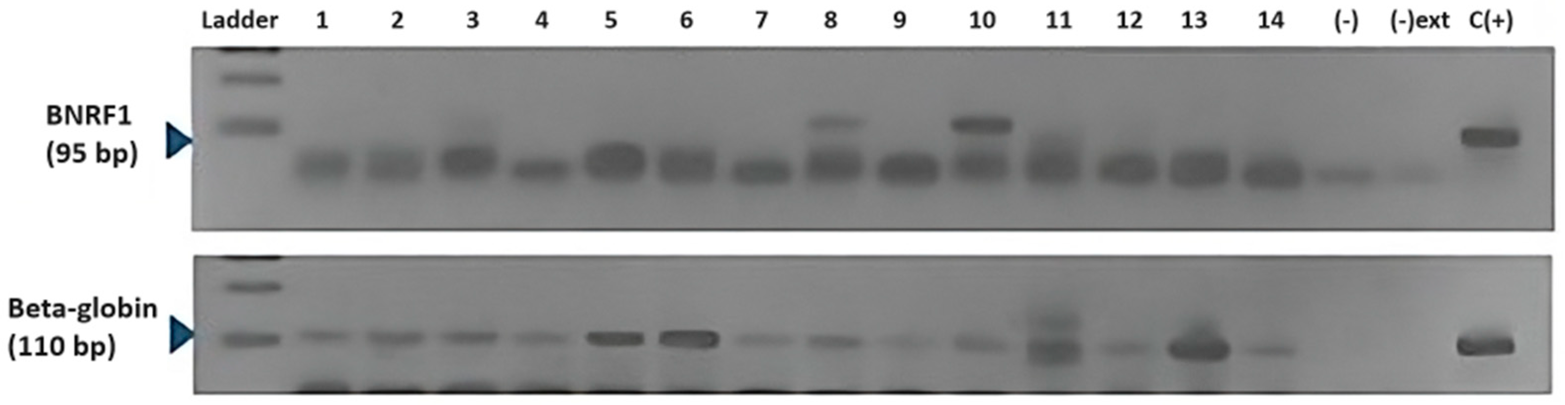 Cells 13 01578 g001 Cells 13 01578 g001