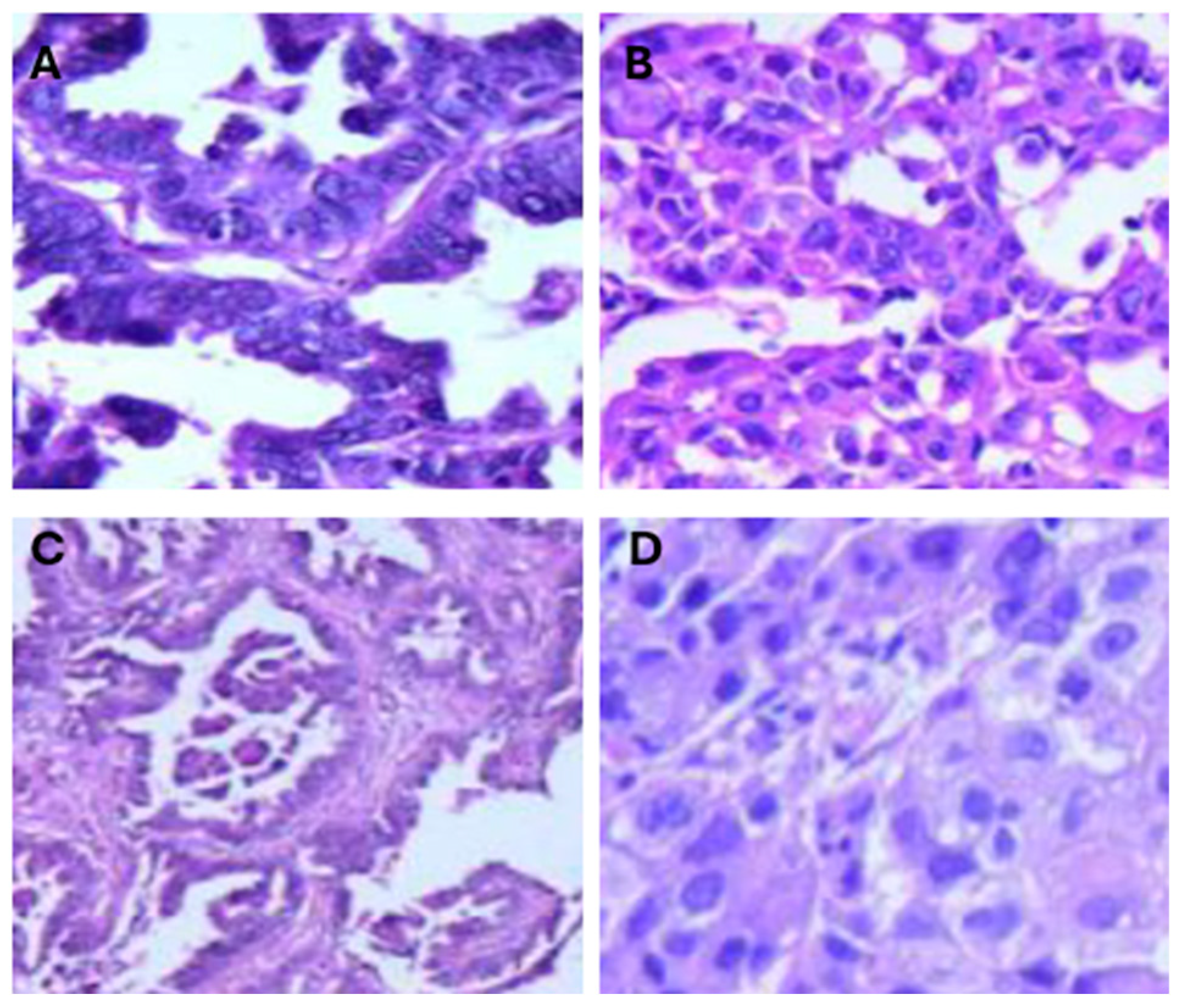 Cells 13 01578 g002 Cells 13 01578 g002