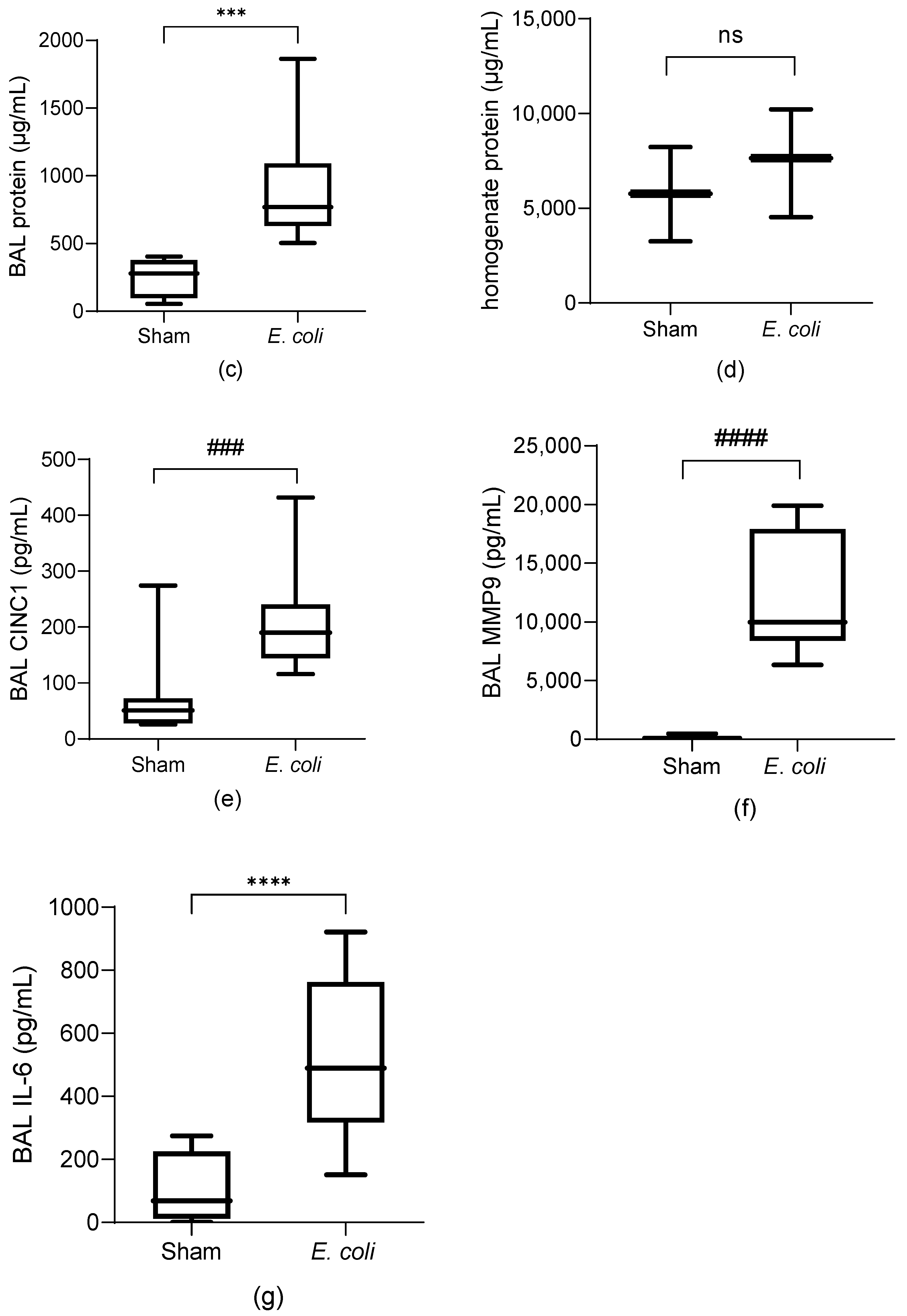Cells 13 01581 g001b