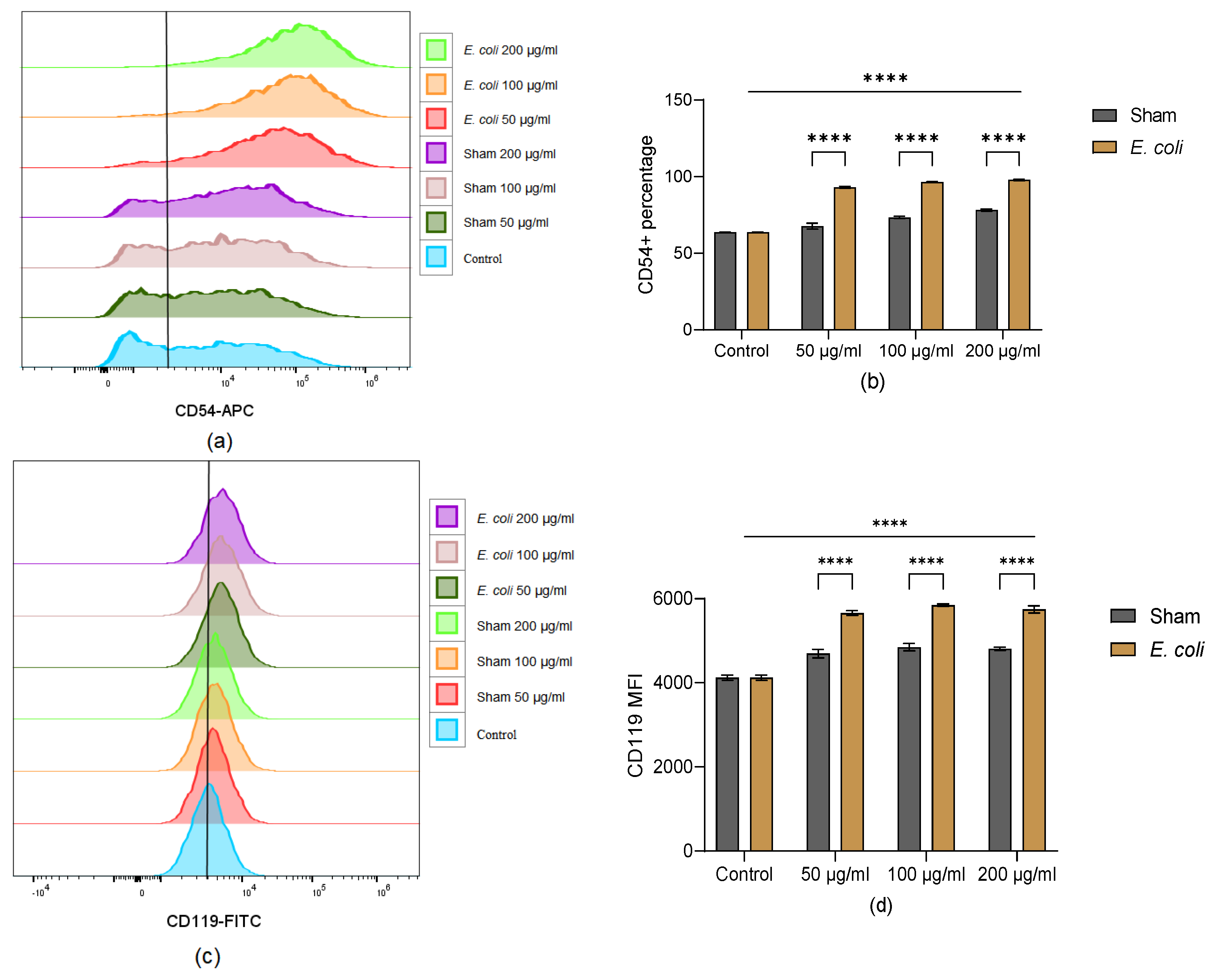Cells 13 01581 g003a