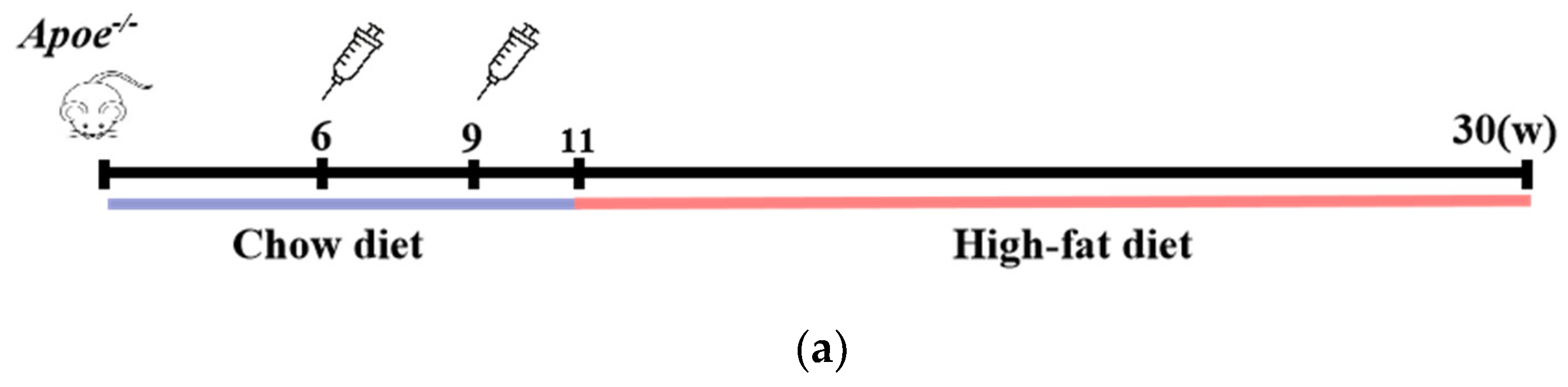 Cells 13 01589 g001a