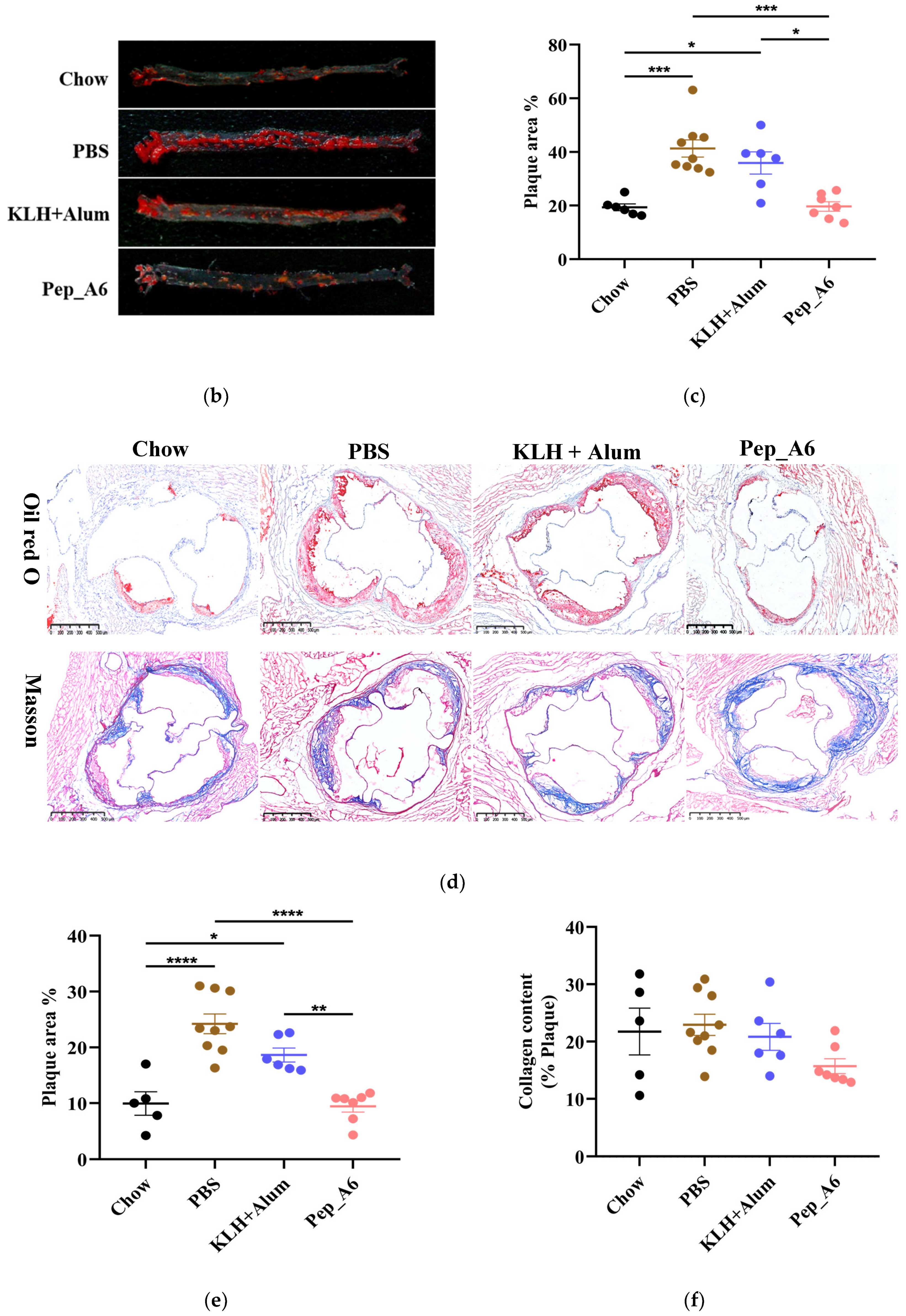 Cells 13 01589 g001b