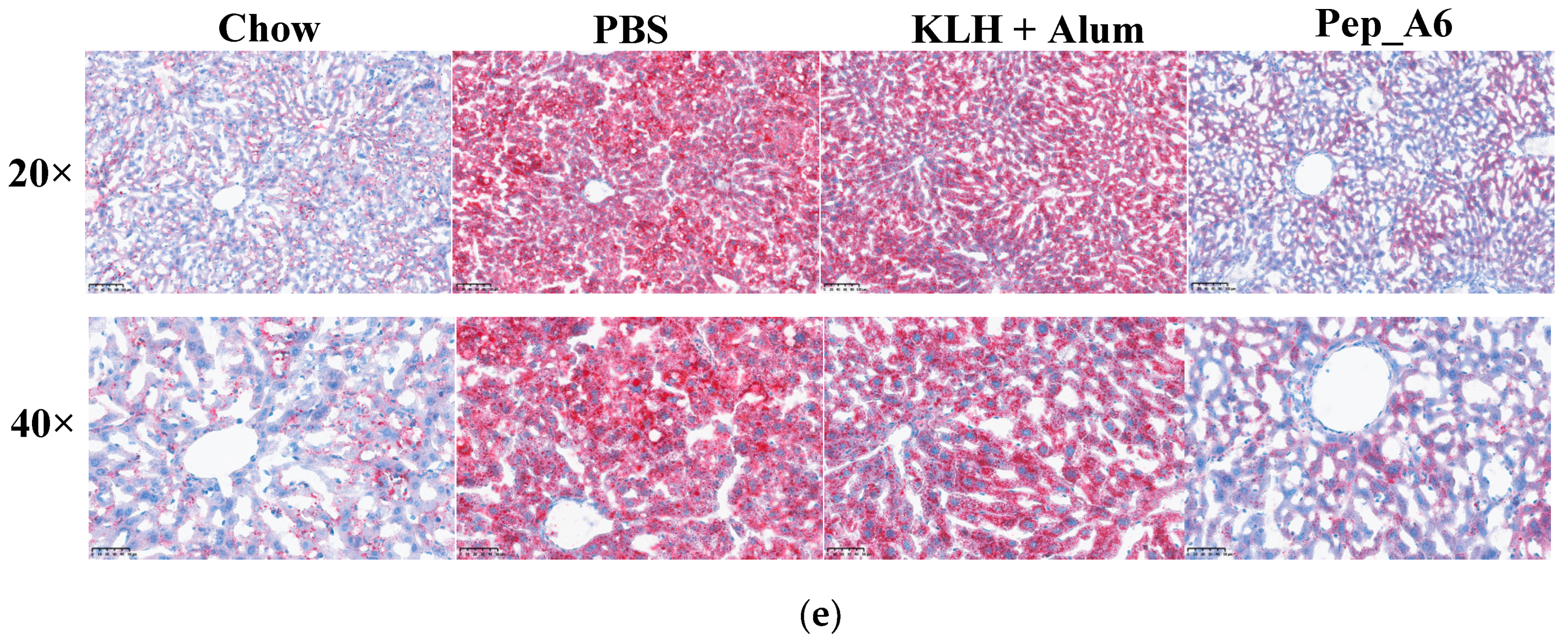 Cells 13 01589 g005b