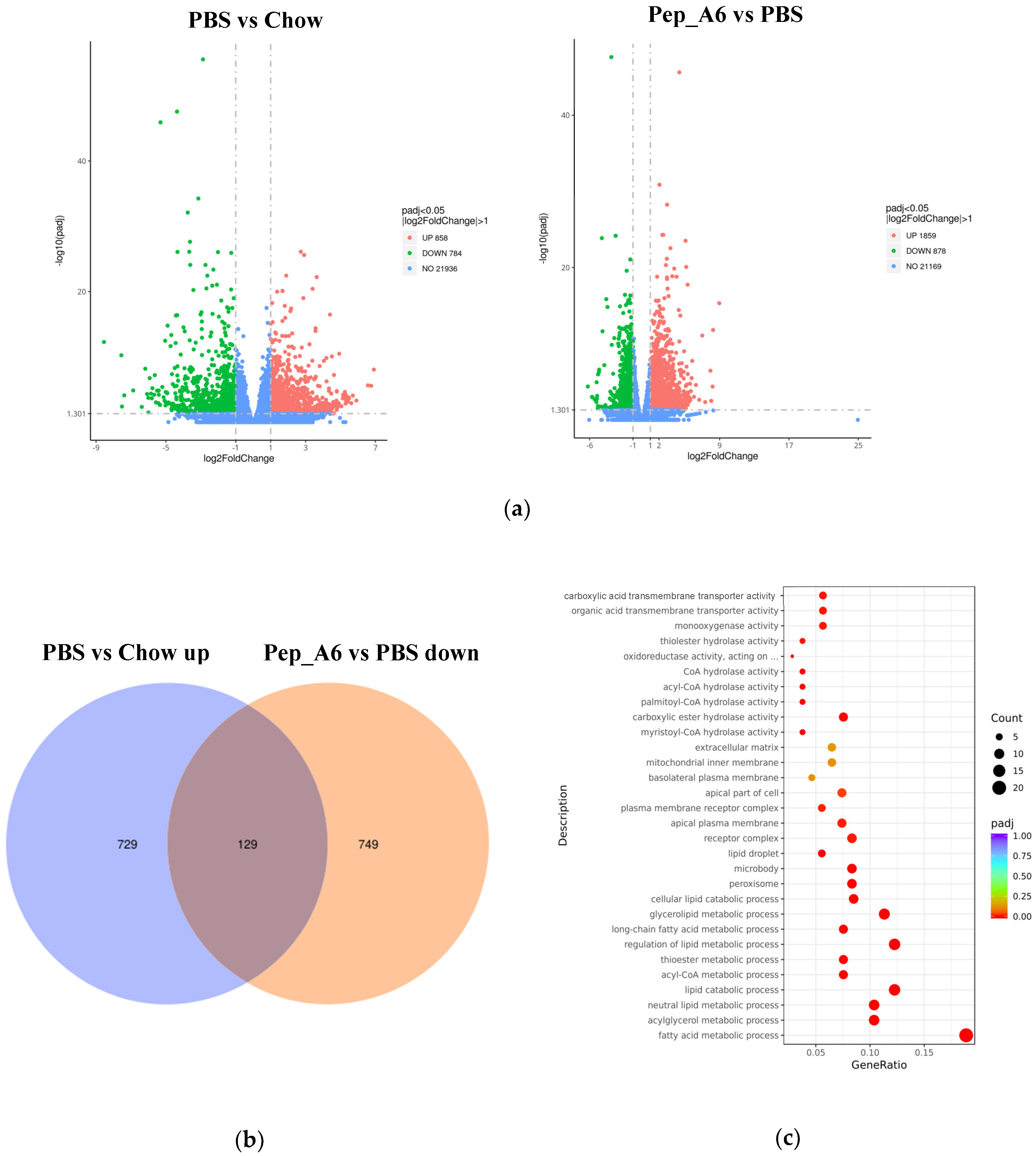 Cells 13 01589 g006a