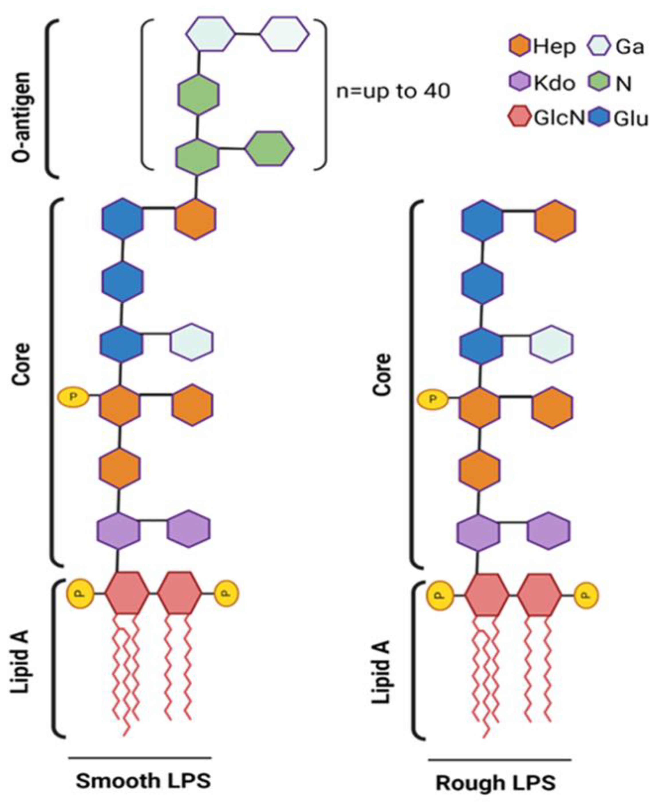 Cells 13 01590 g003 Cells 13 01590 g003