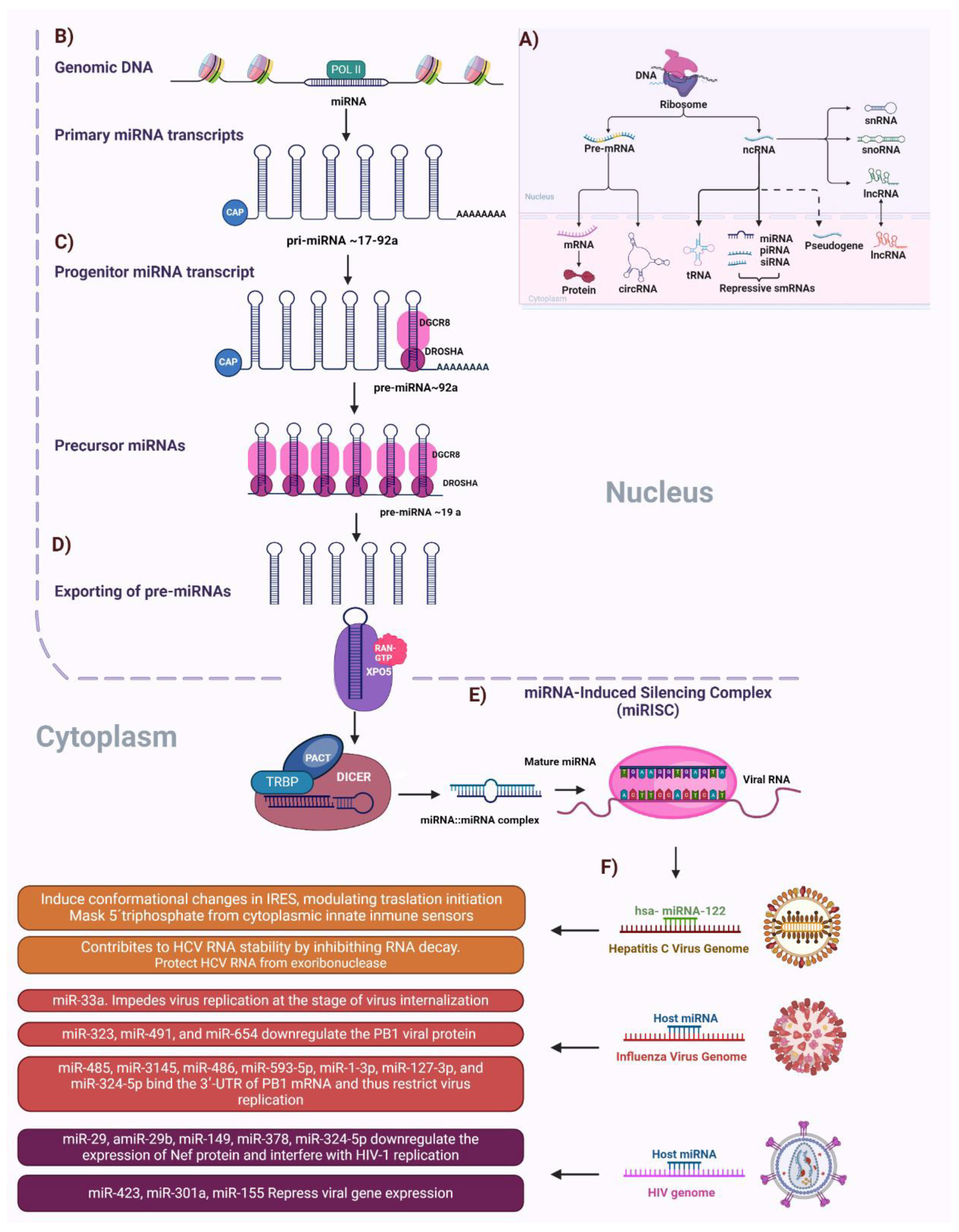 Cells 13 01591 g002 Cells 13 01591 g002
