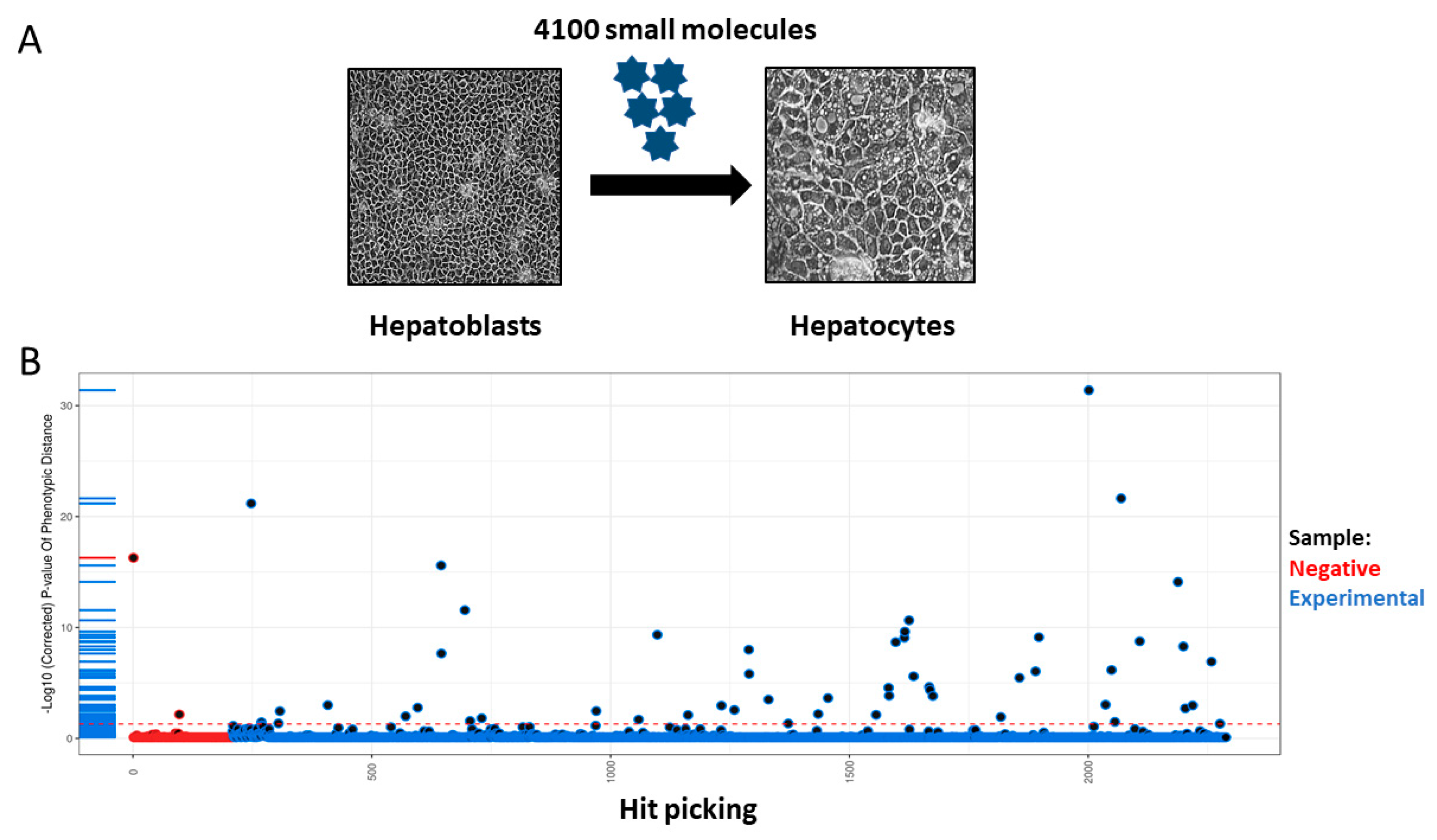 Cells 13 01594 g001 Cells 13 01594 g001