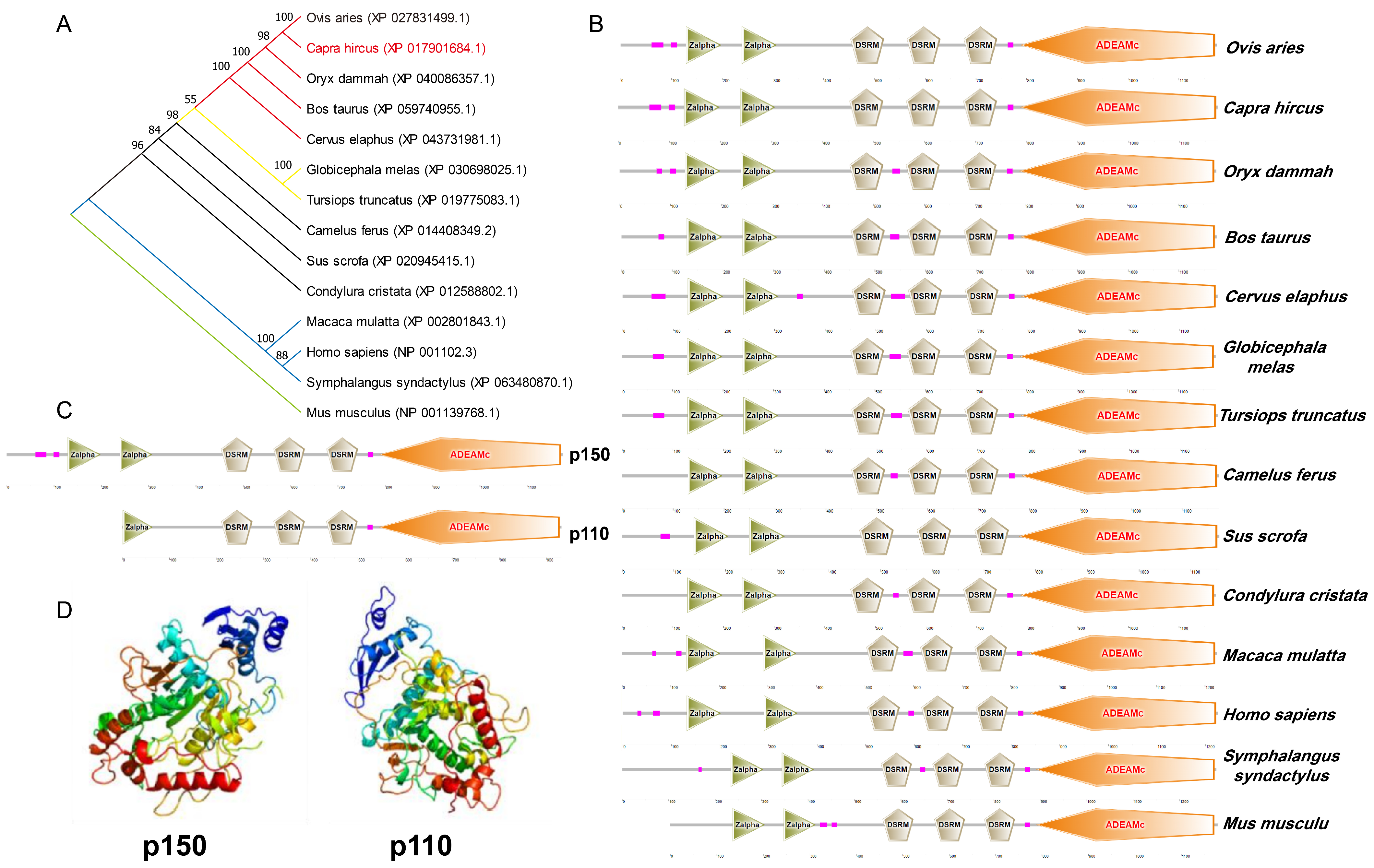 Cells 13 01607 g001 Cells 13 01607 g001