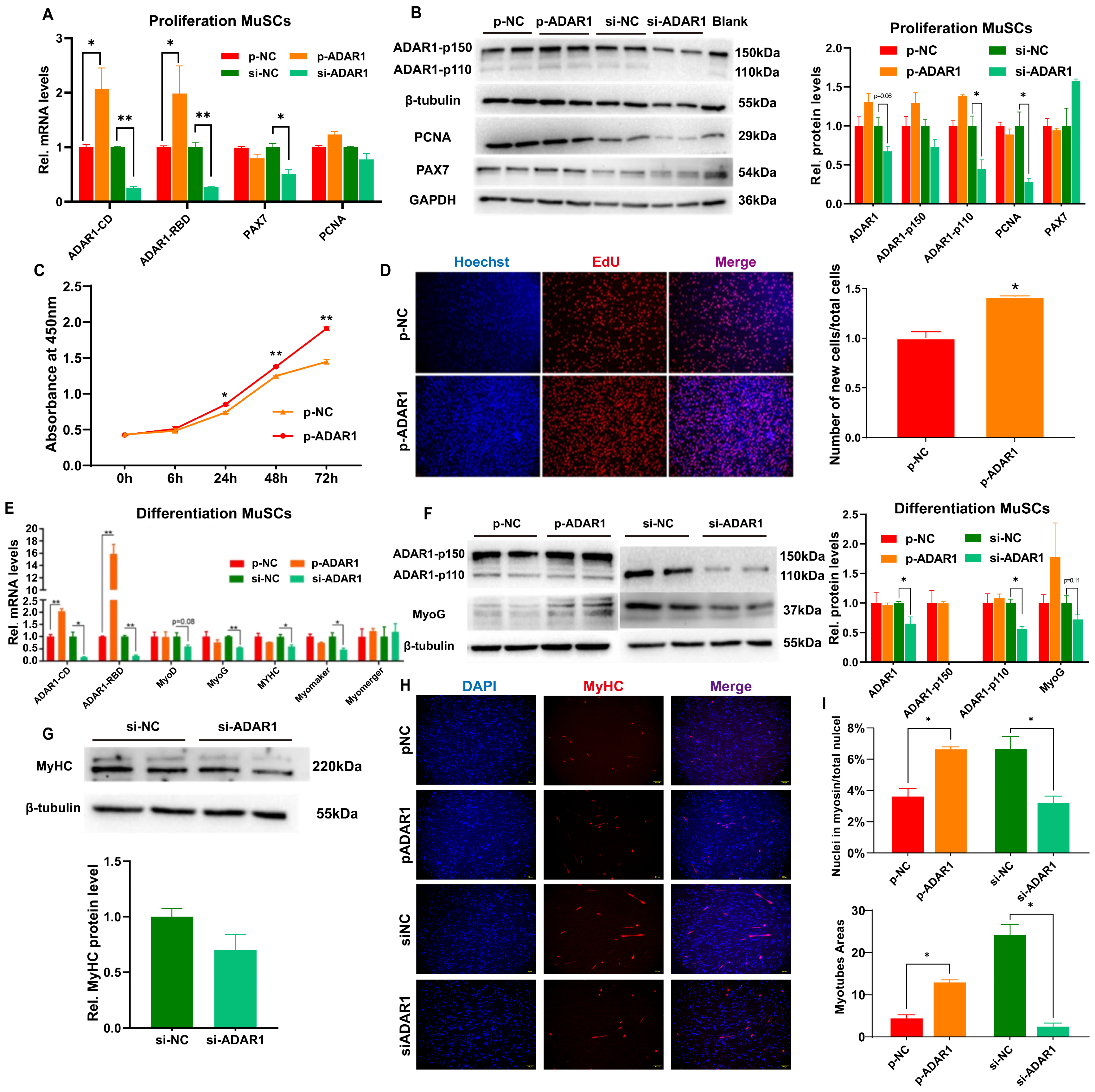 Cells 13 01607 g003 Cells 13 01607 g003