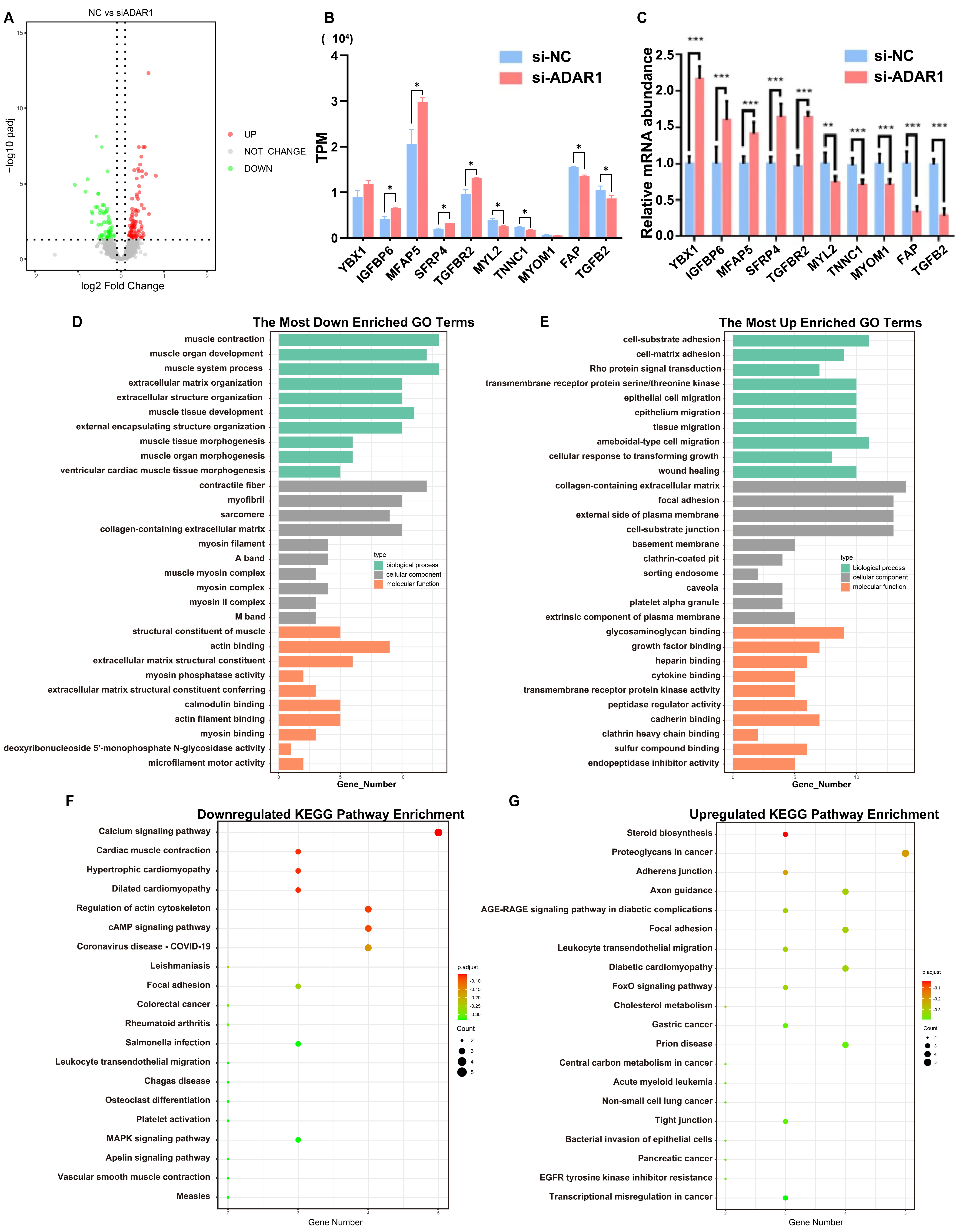 Cells 13 01607 g004 Cells 13 01607 g004