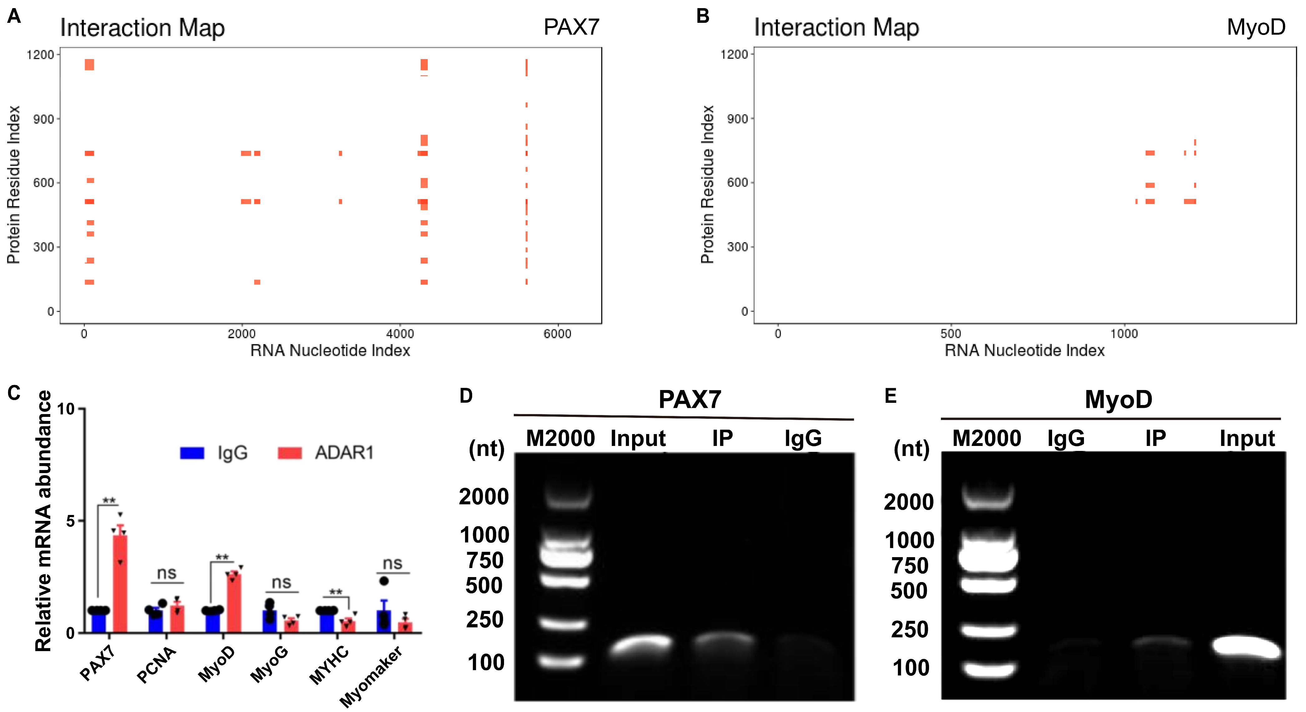 Cells 13 01607 g005 Cells 13 01607 g005