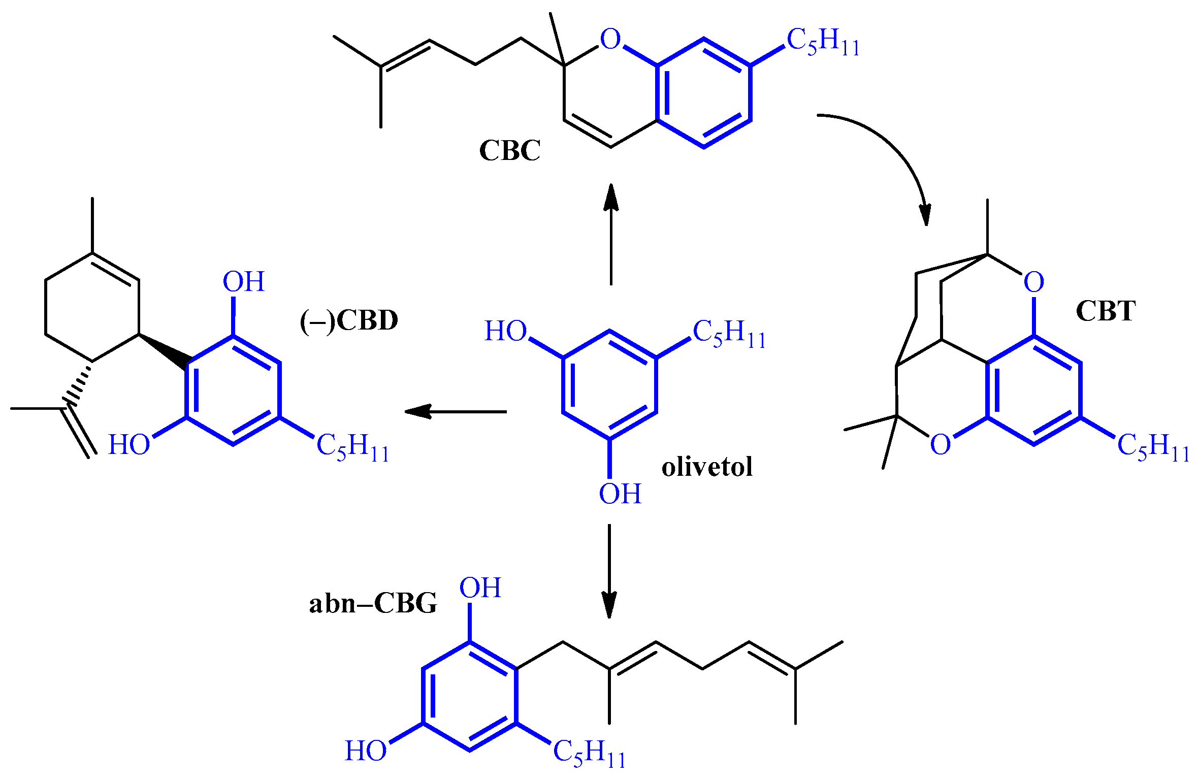 Cells 13 01616 sch001
