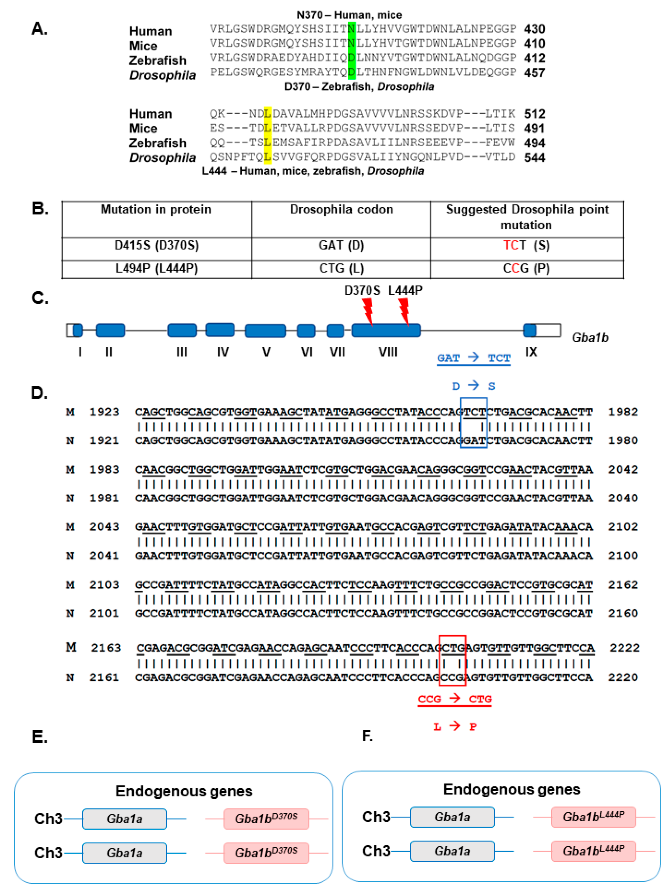 Cells 13 01619 g001 Cells 13 01619 g001