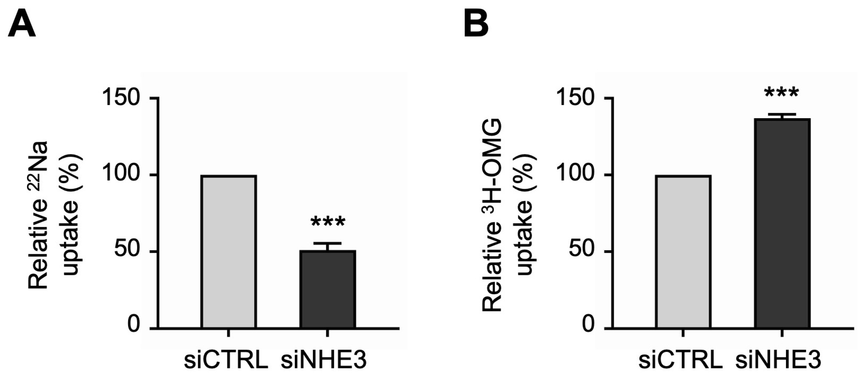 Cells 13 01623 g003 Cells 13 01623 g003