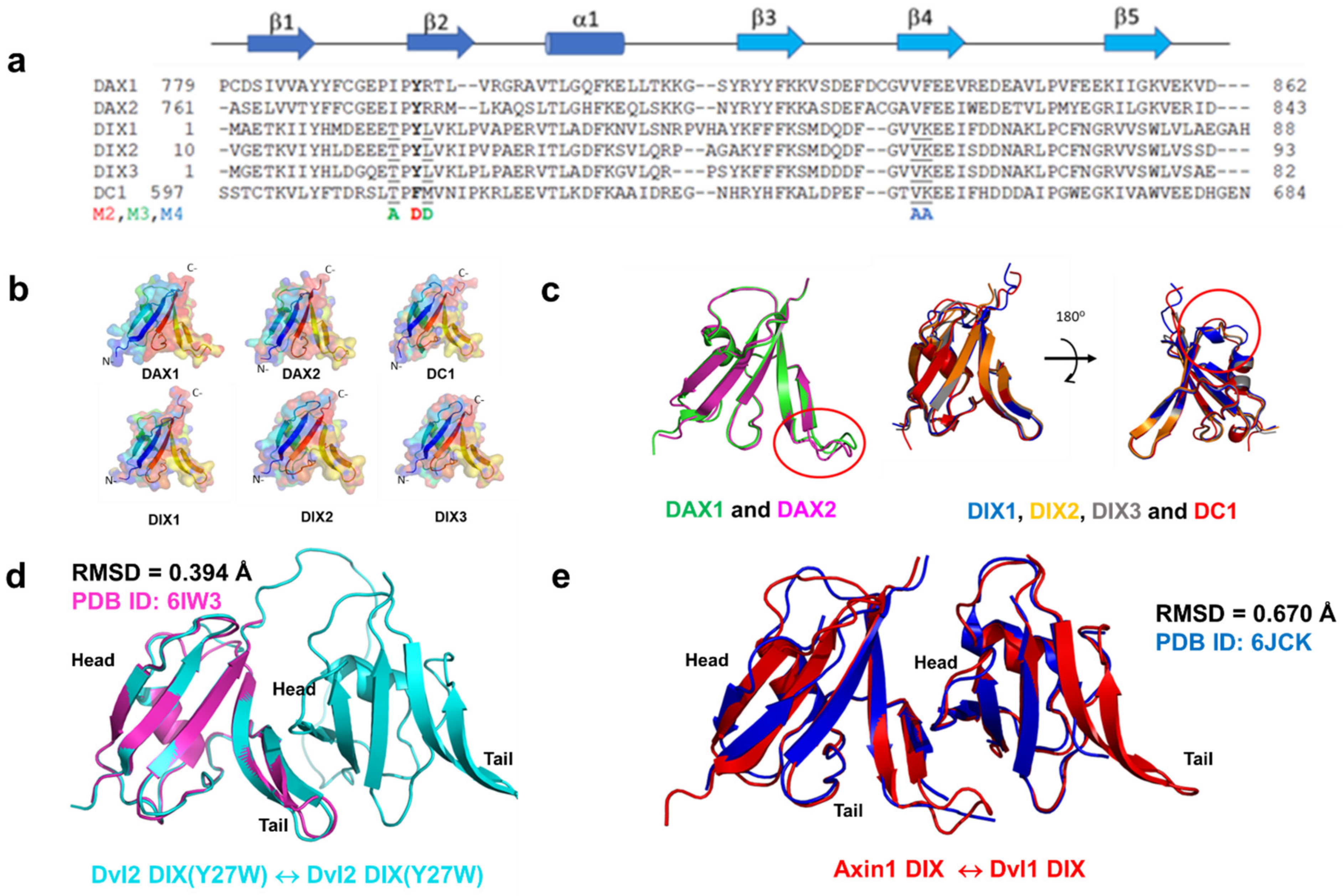 Cells 13 01646 g001 Cells 13 01646 g001