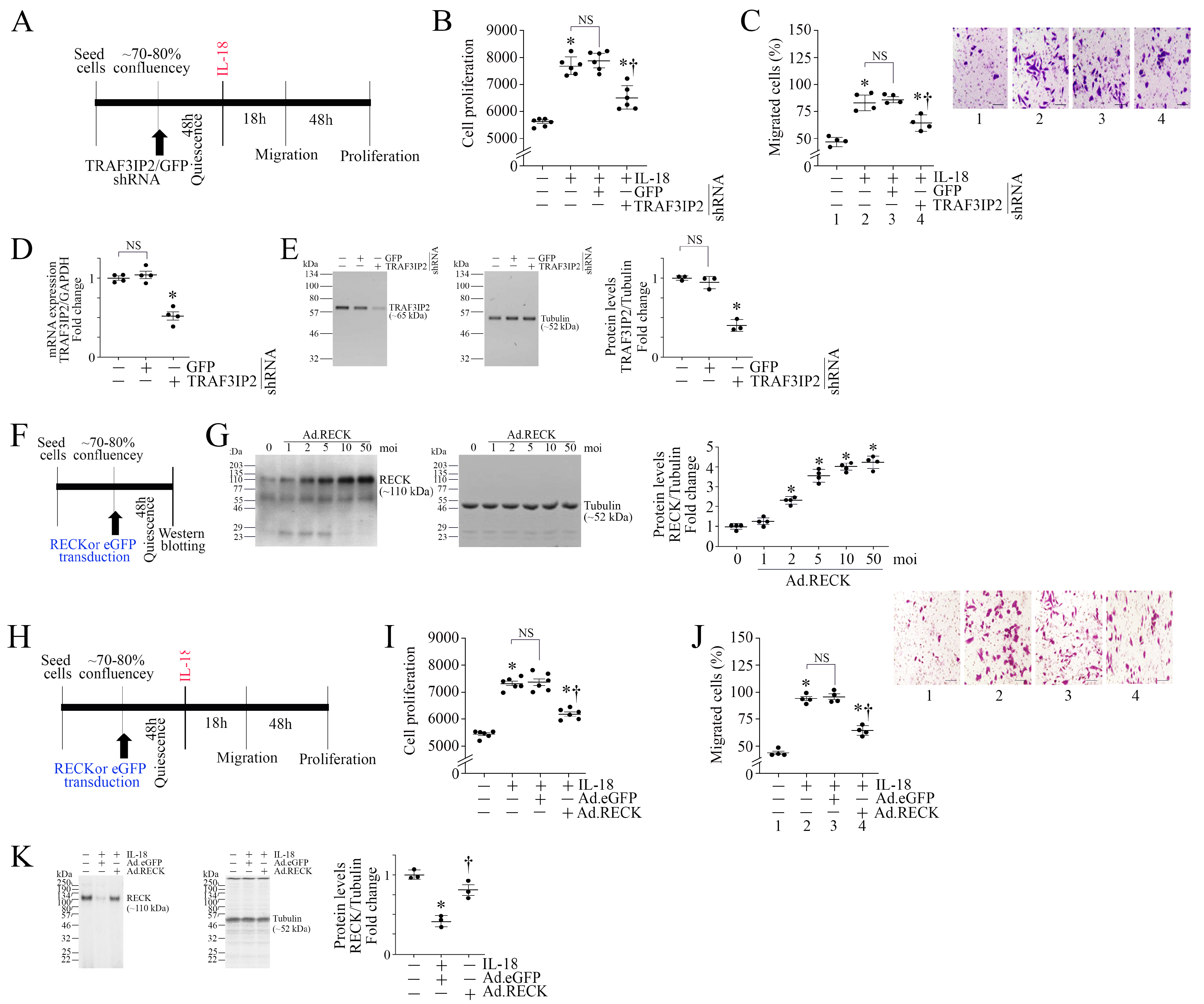 Cells 13 01673 g002 Cells 13 01673 g002