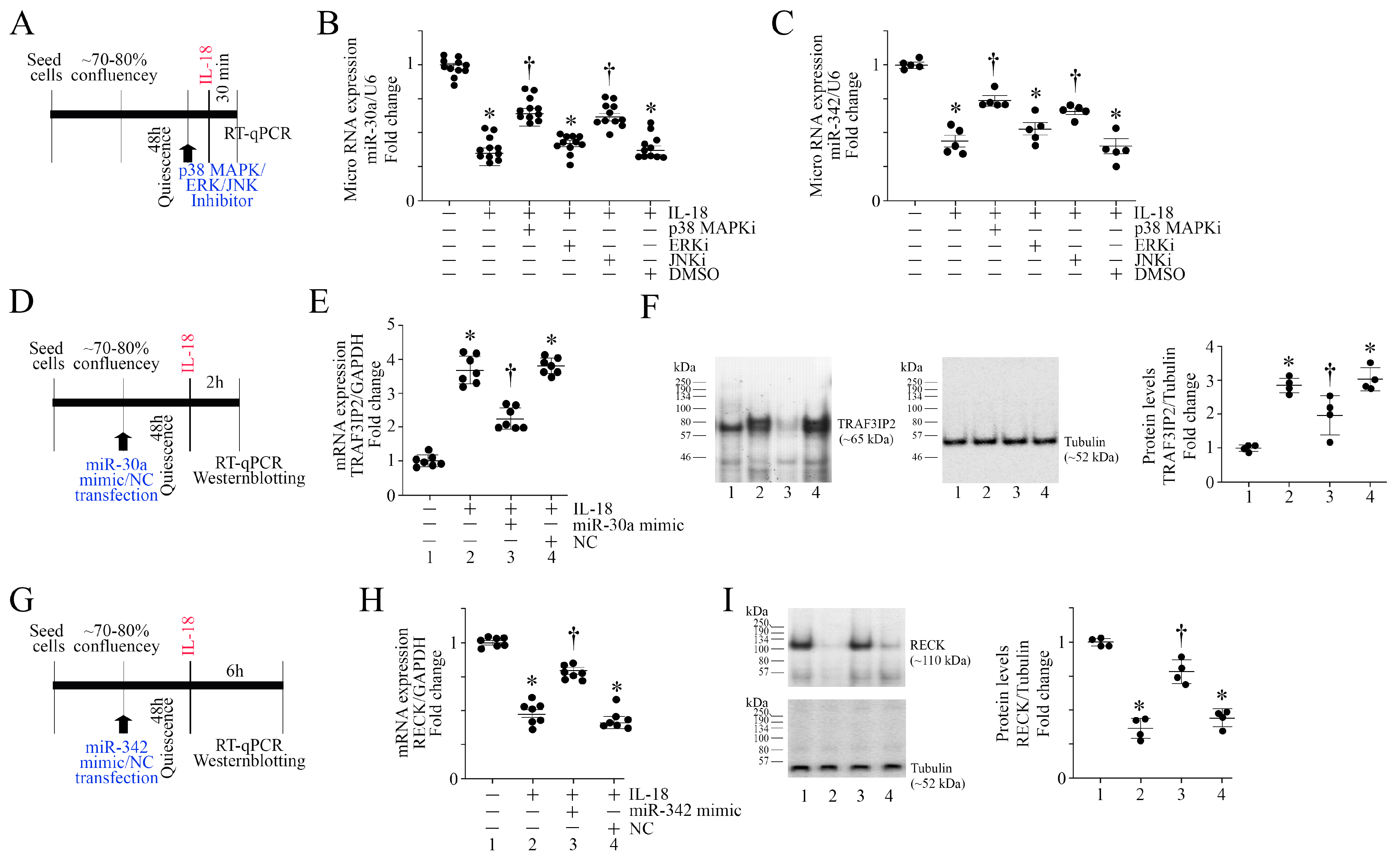 Cells 13 01673 g005 Cells 13 01673 g005