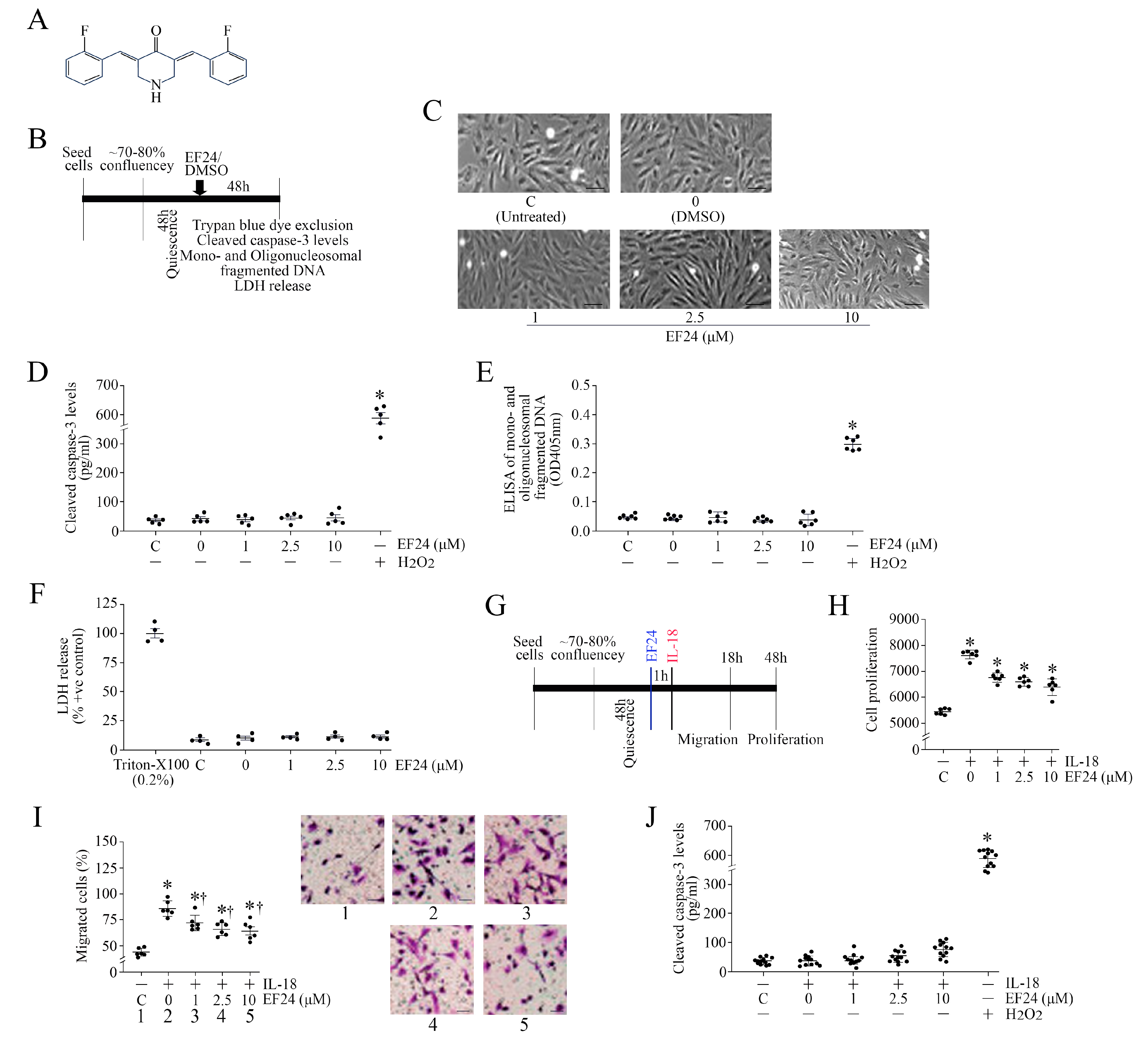 Cells 13 01673 g006 Cells 13 01673 g006